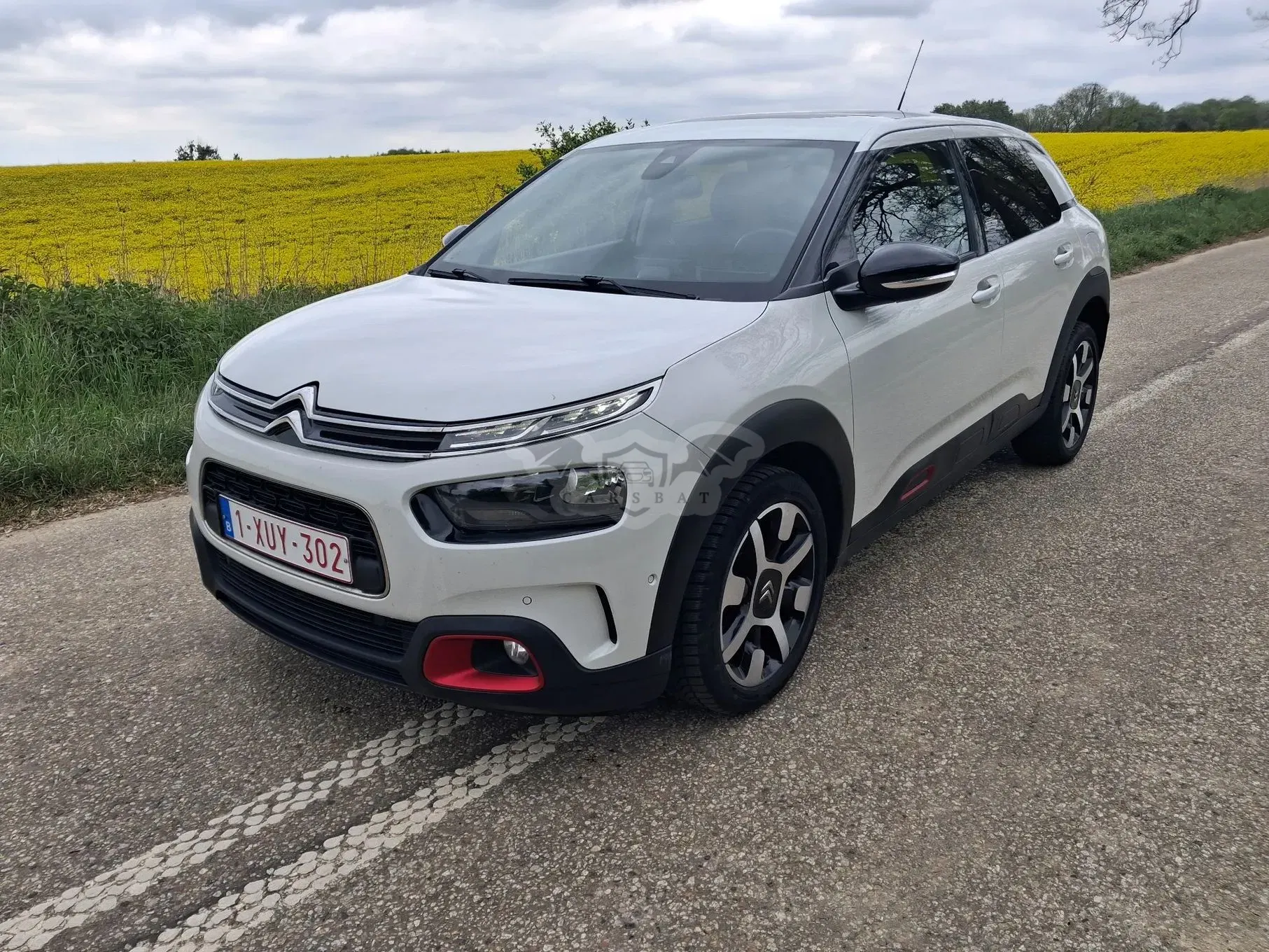 Citroën C4 Cactus BlueHDi 100 Stop&Start Business Class 2018