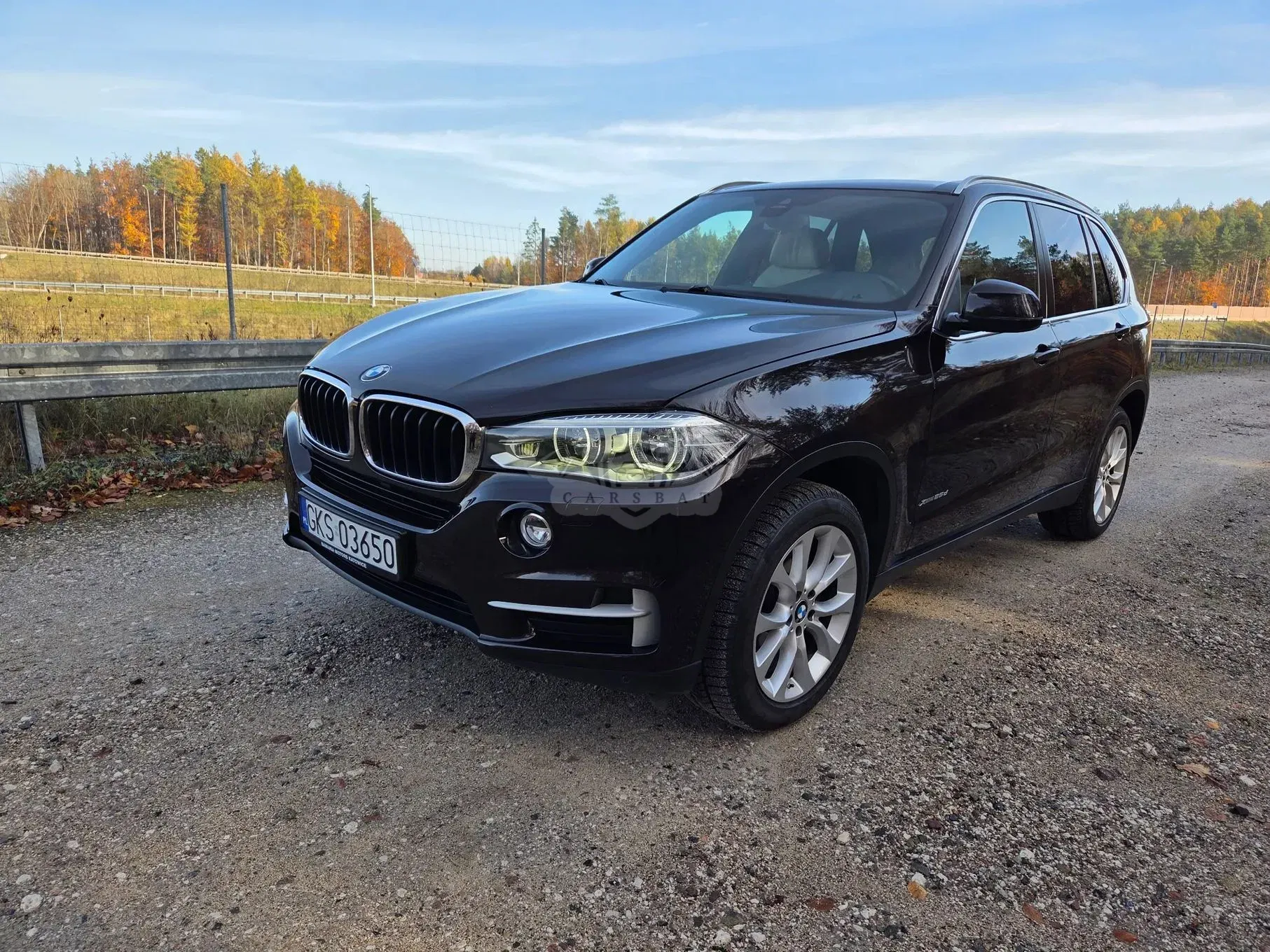 BMW X5 F15 xDrive25d 2015