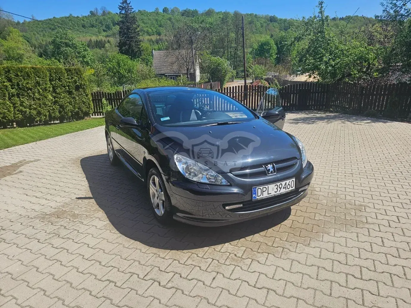 Peugeot 307 2005