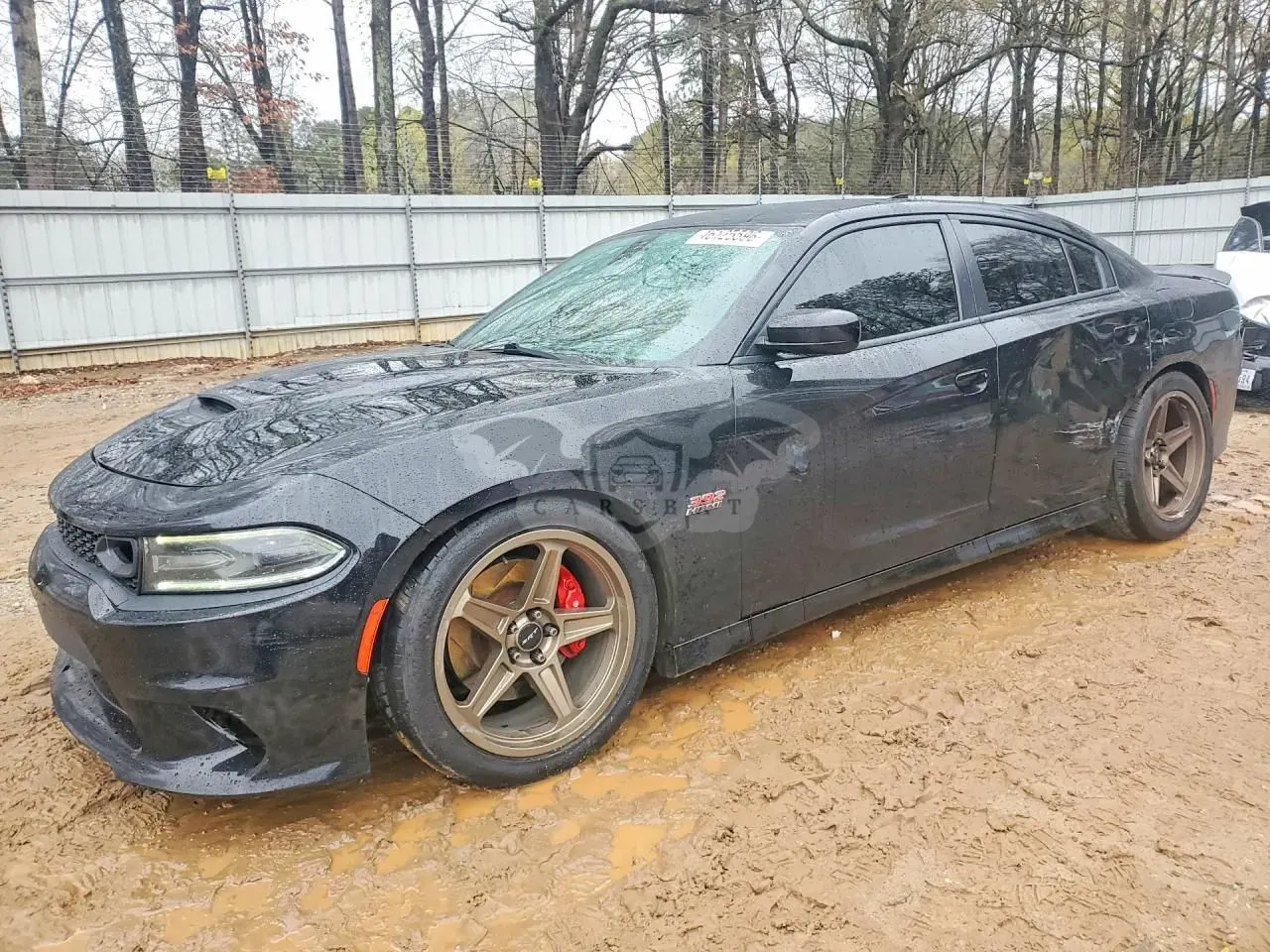Dodge Charger 6.4 Scat Pack 2020