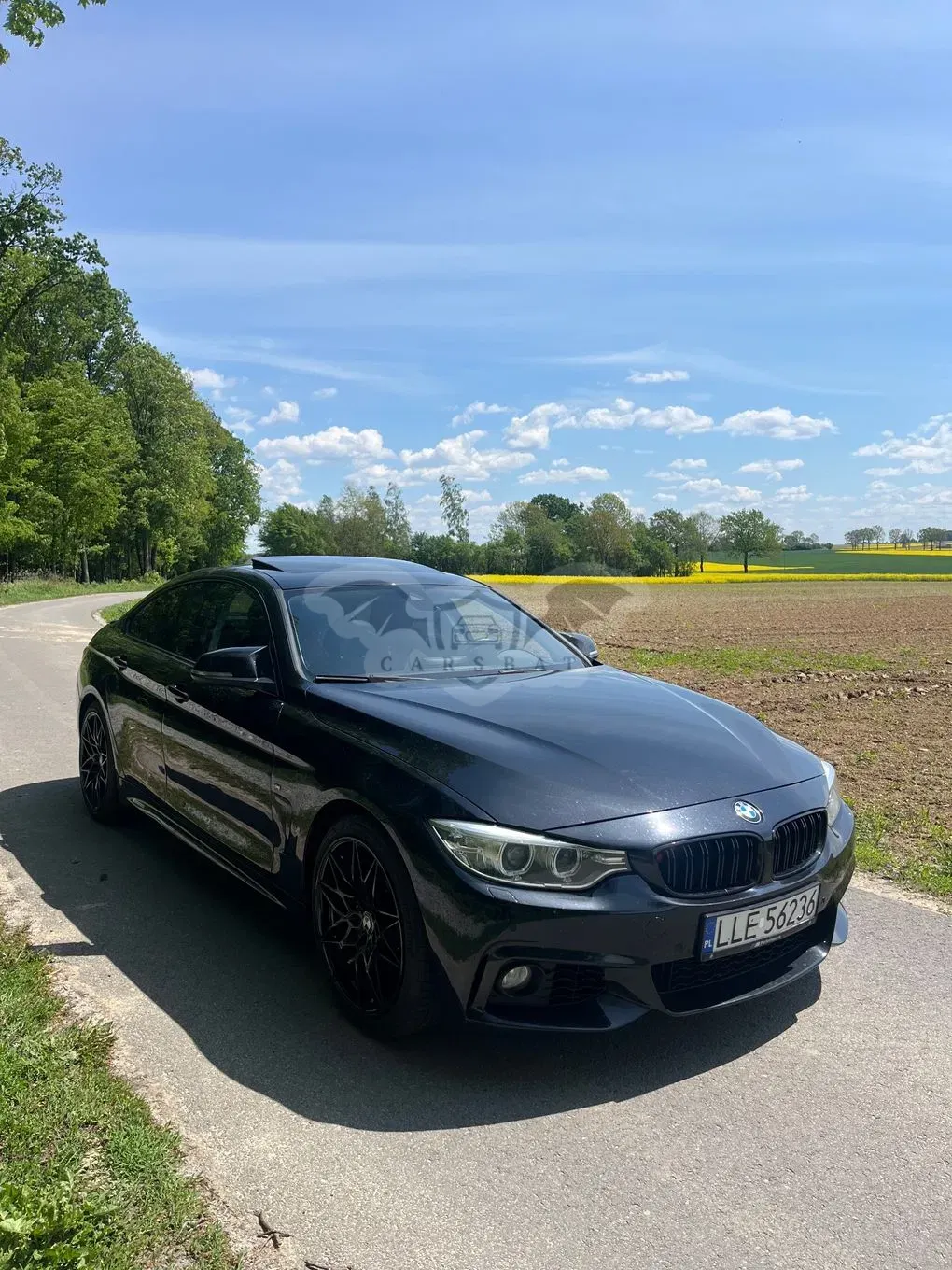 BMW 4 Series I F32/F33/F82 420d 2014