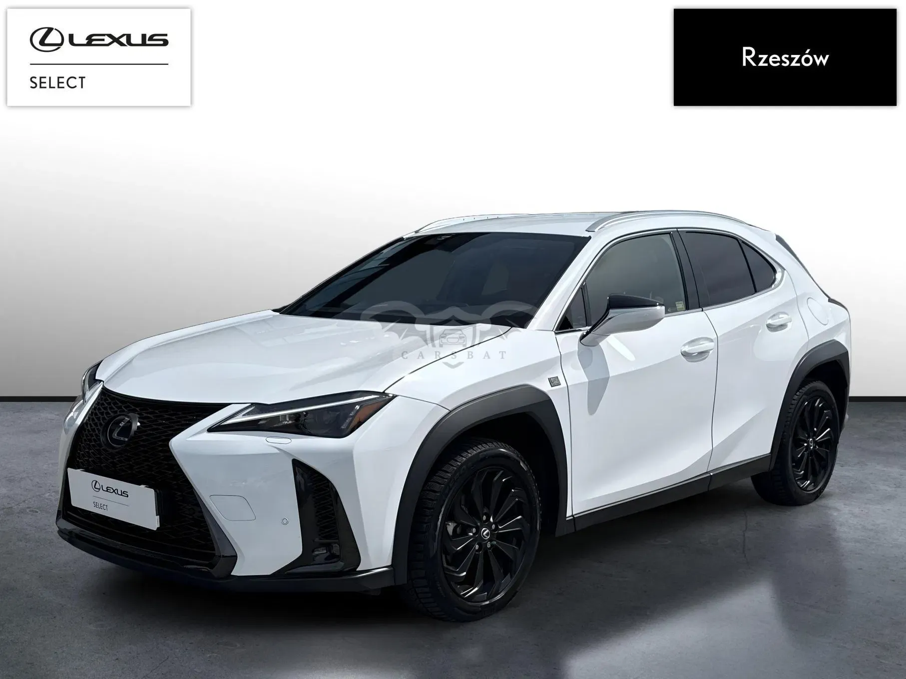 Lexus UX 250h GPF F Sport Design+ 2WD 2023