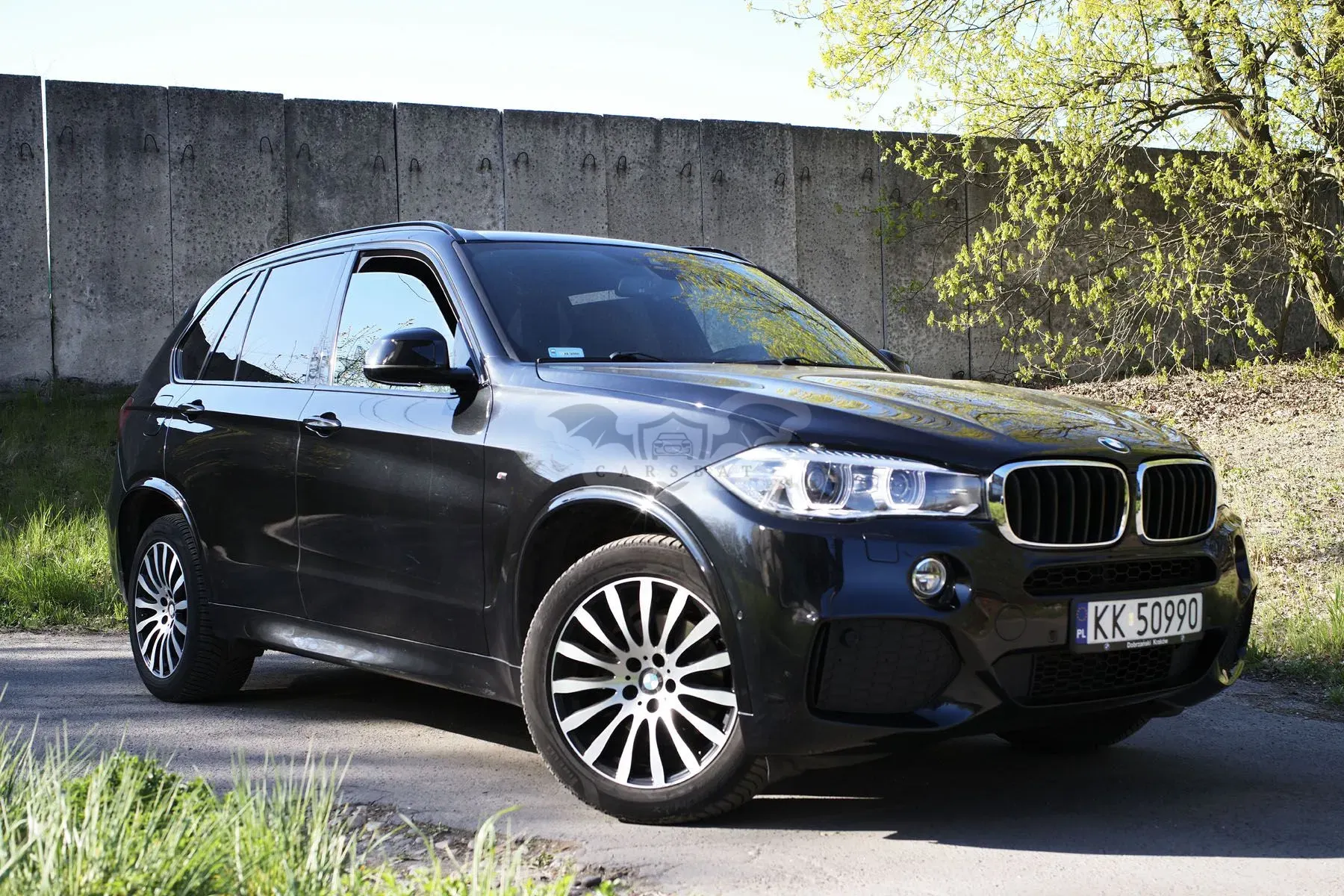 BMW X5 F15 xDrive25d sport 2017