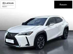 Lexus UX 300h Prestige 2025