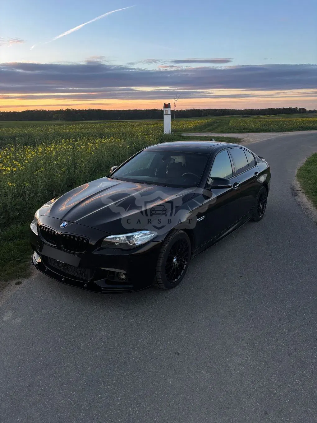 BMW 5 Series F10/F11 528i 2015