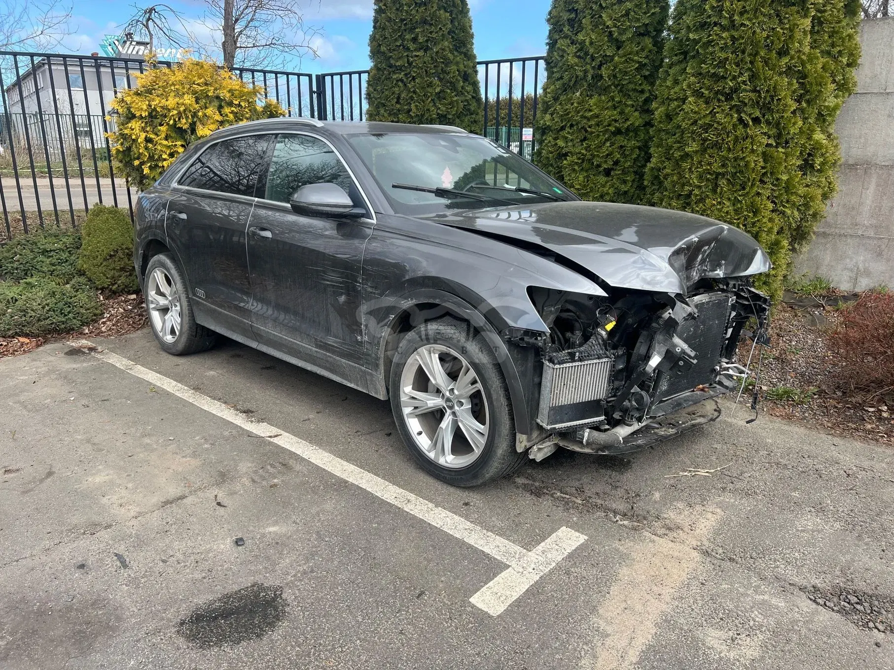 Audi Q8 2019