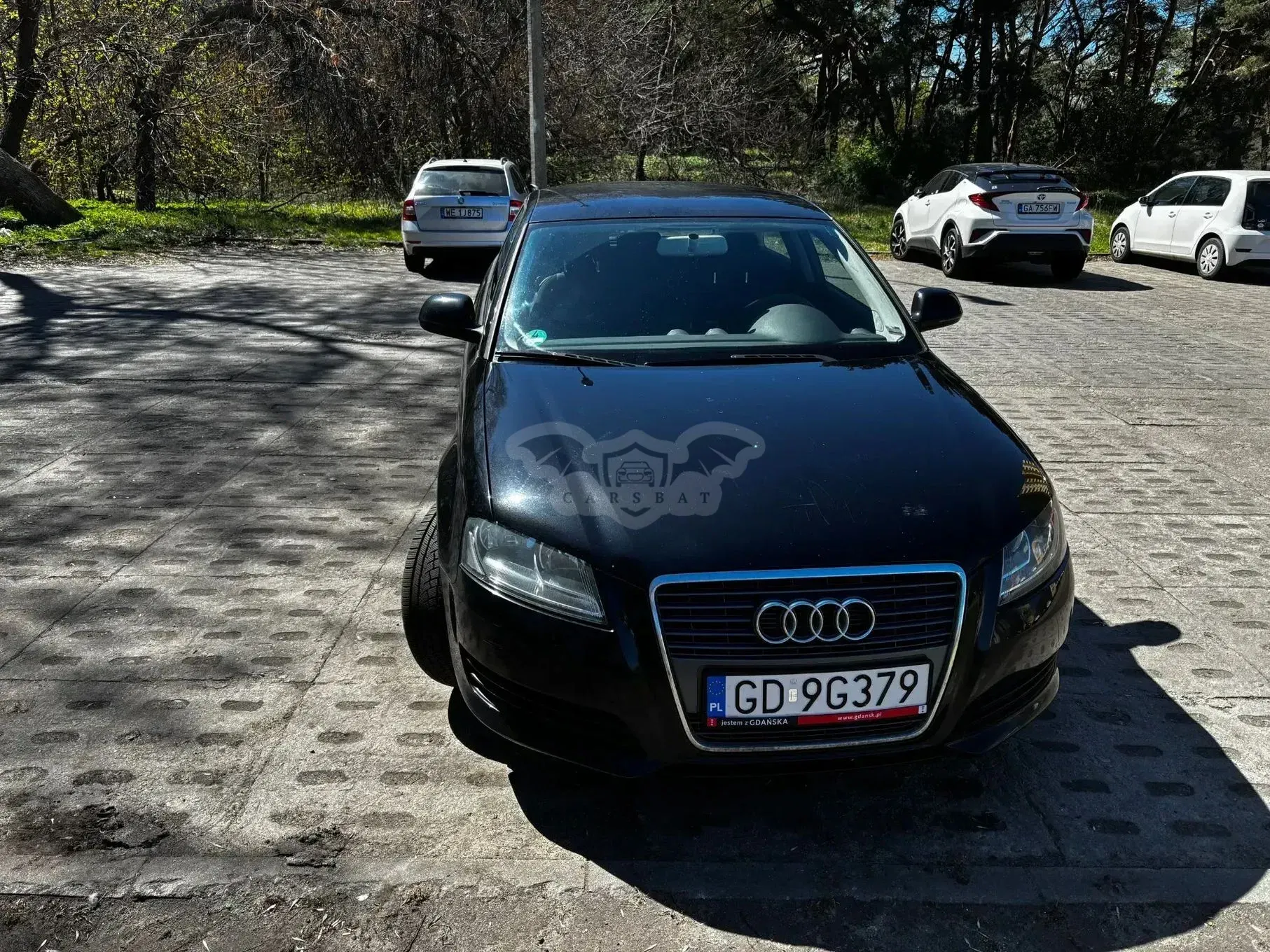 Audi A3 8P 2010