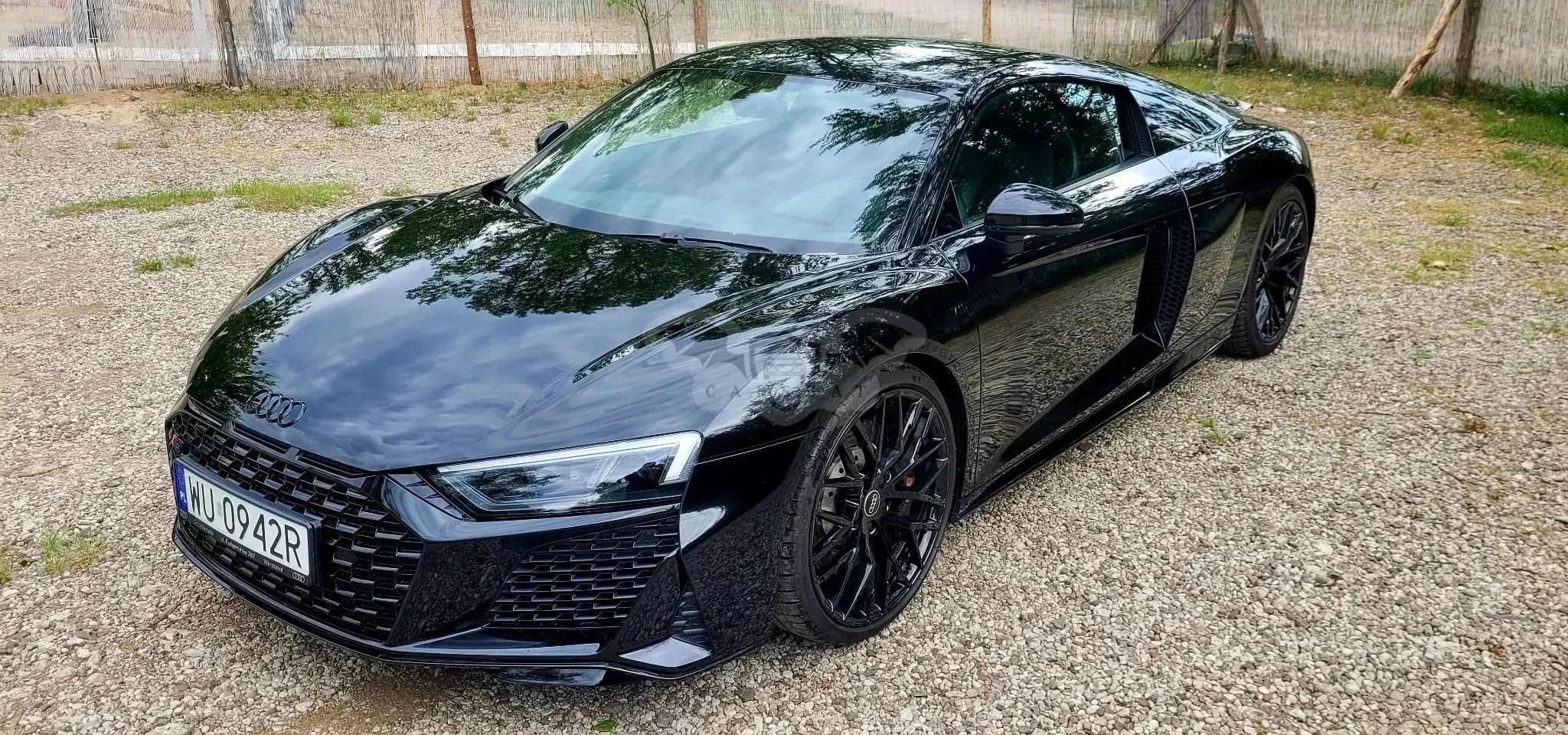 Audi R8 II V10 RWD Performance 2023