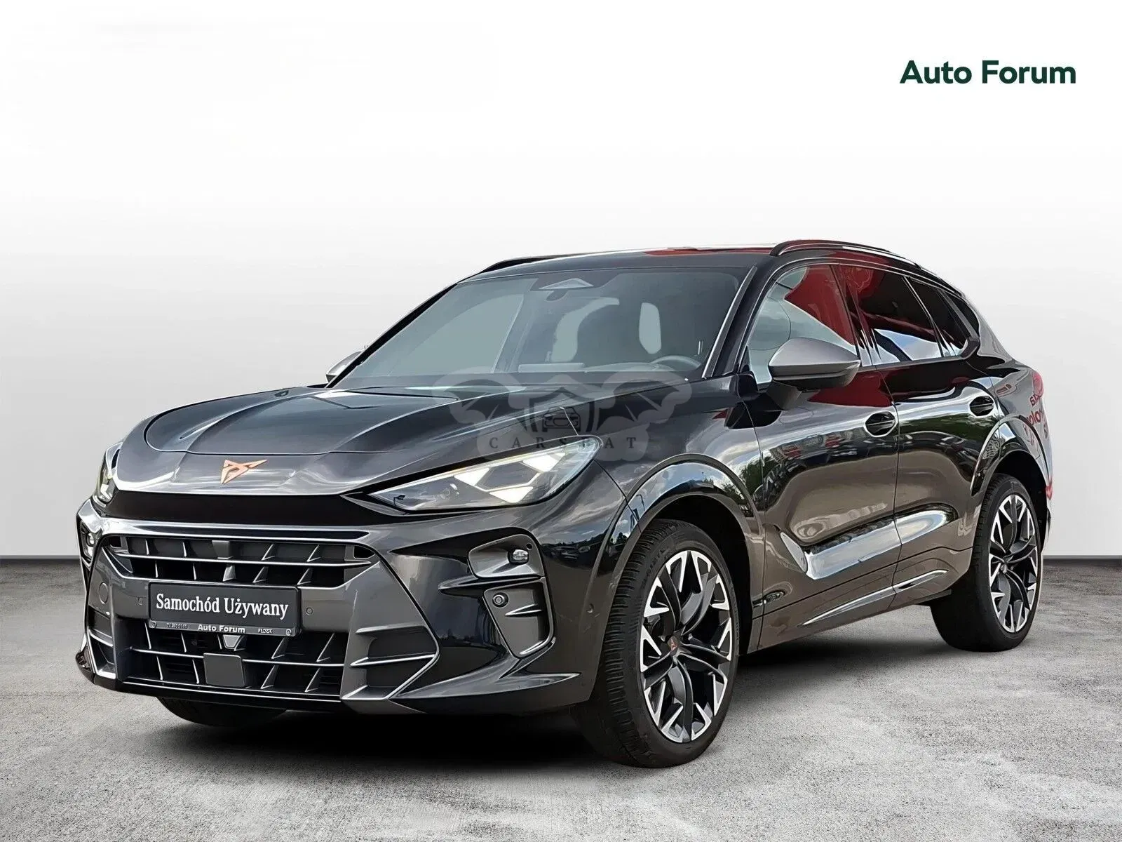 Cupra Terramar 2025