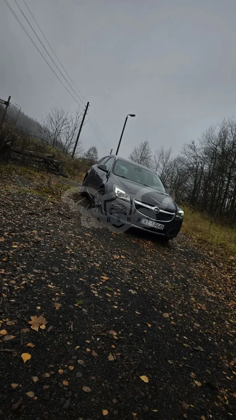 Opel Insignia A 2.0 T Executive 4x4 2014
