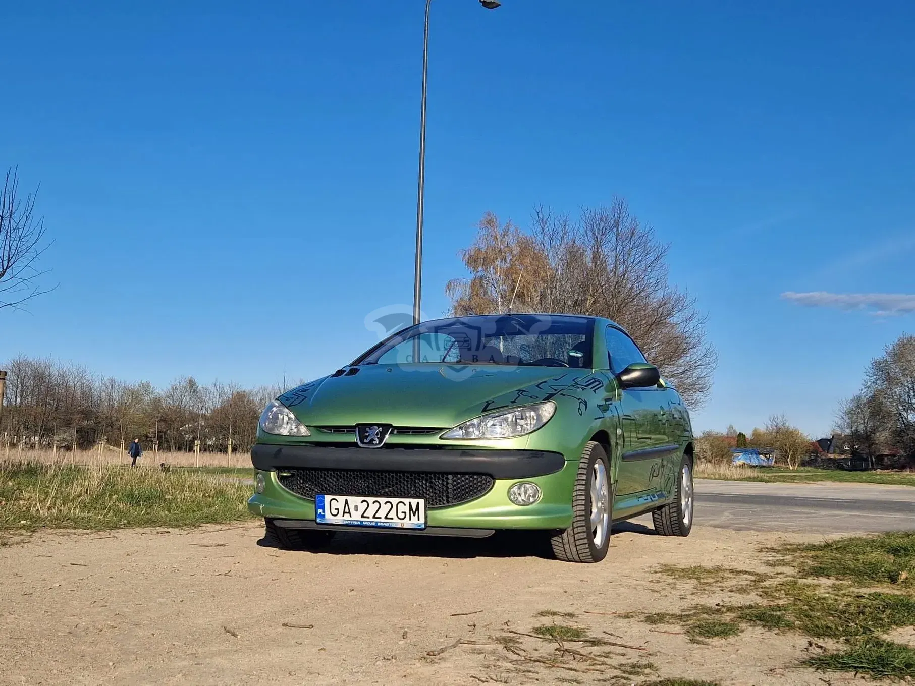 Peugeot 206 2002