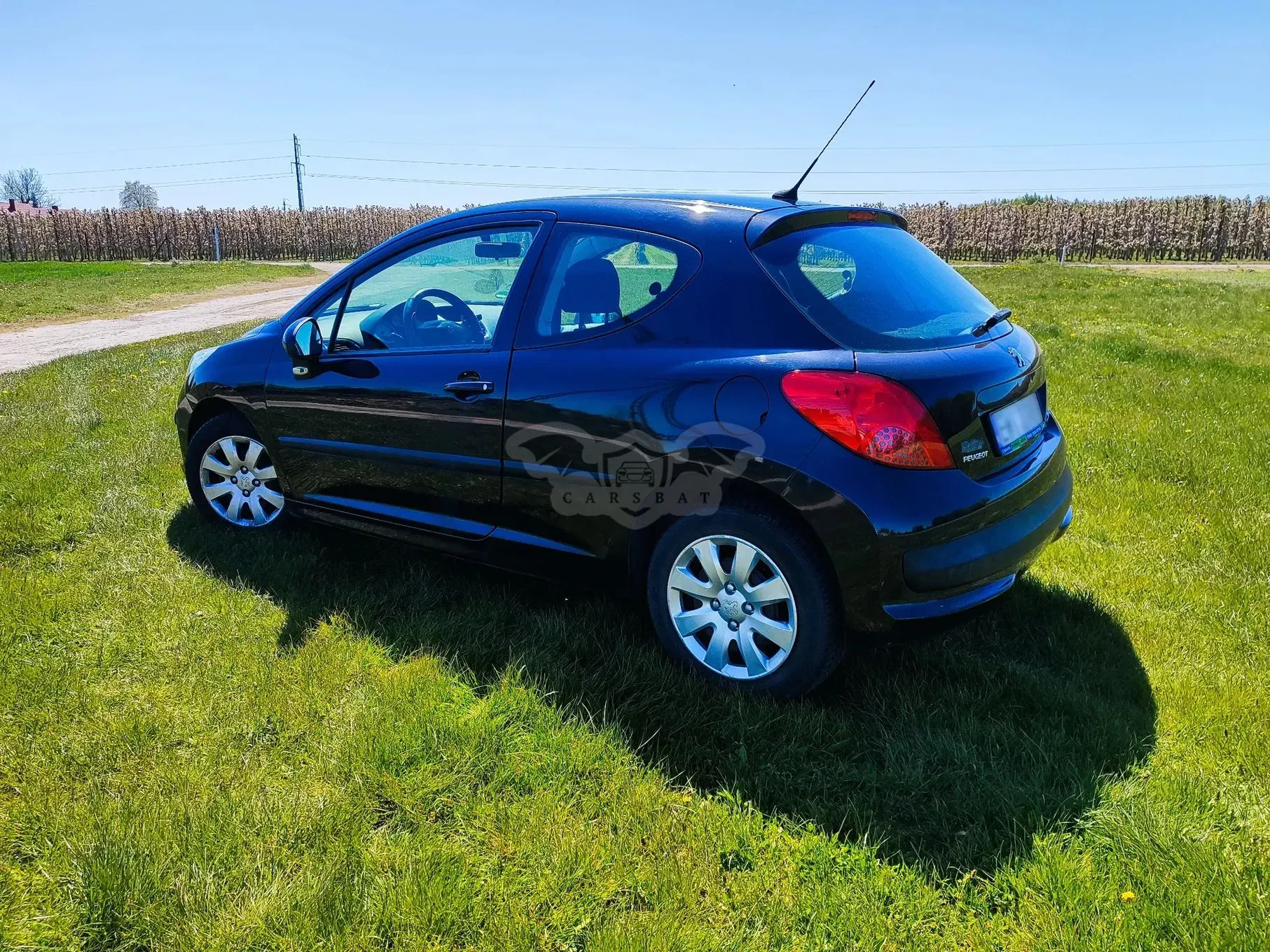 Peugeot 207 2007