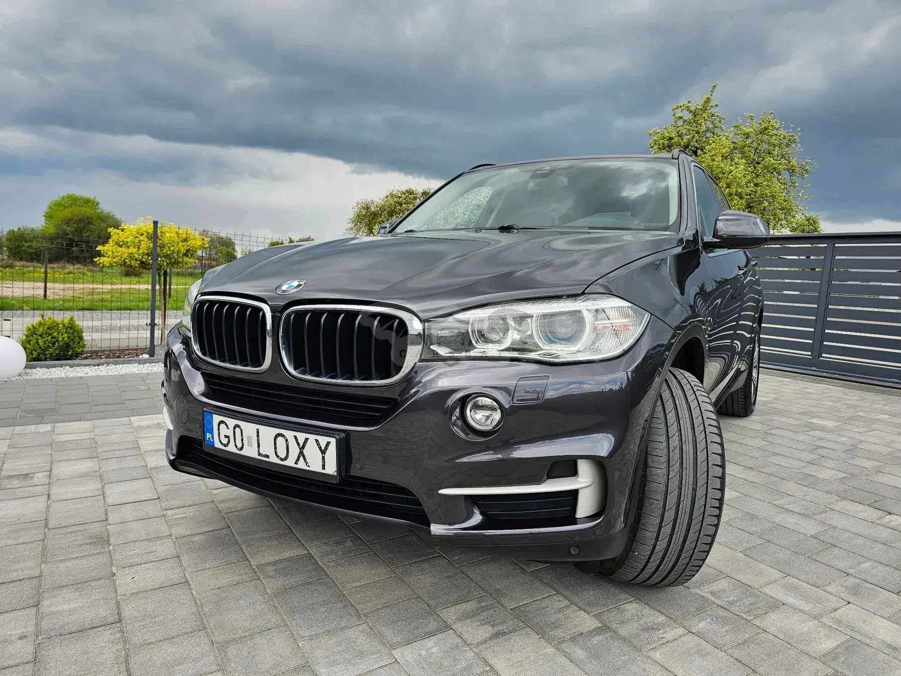 BMW X5 F15 xDrive30d 2013