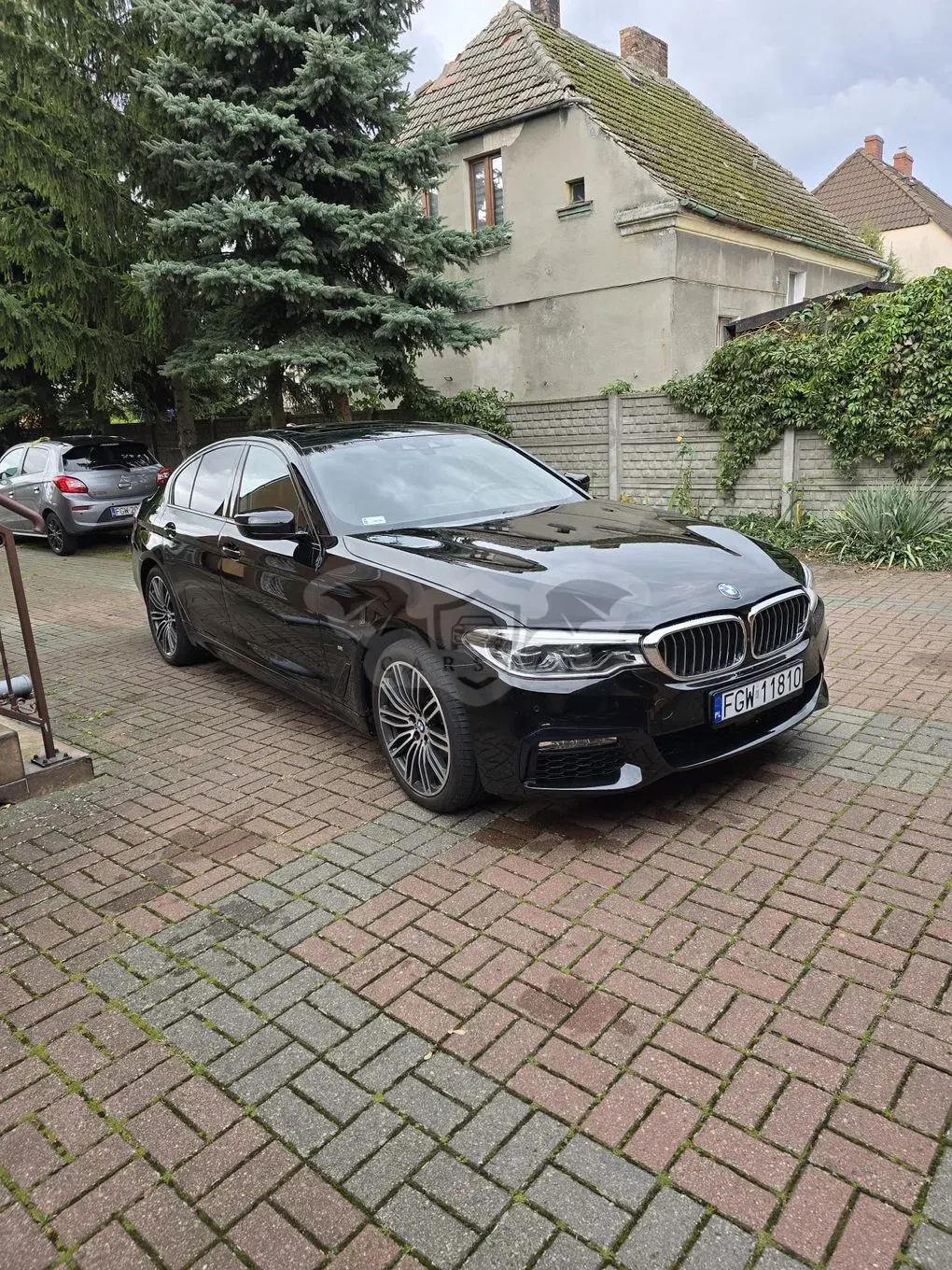 BMW 5 Series G30/G31 530i xDrive mHEV M Sport sport 2019