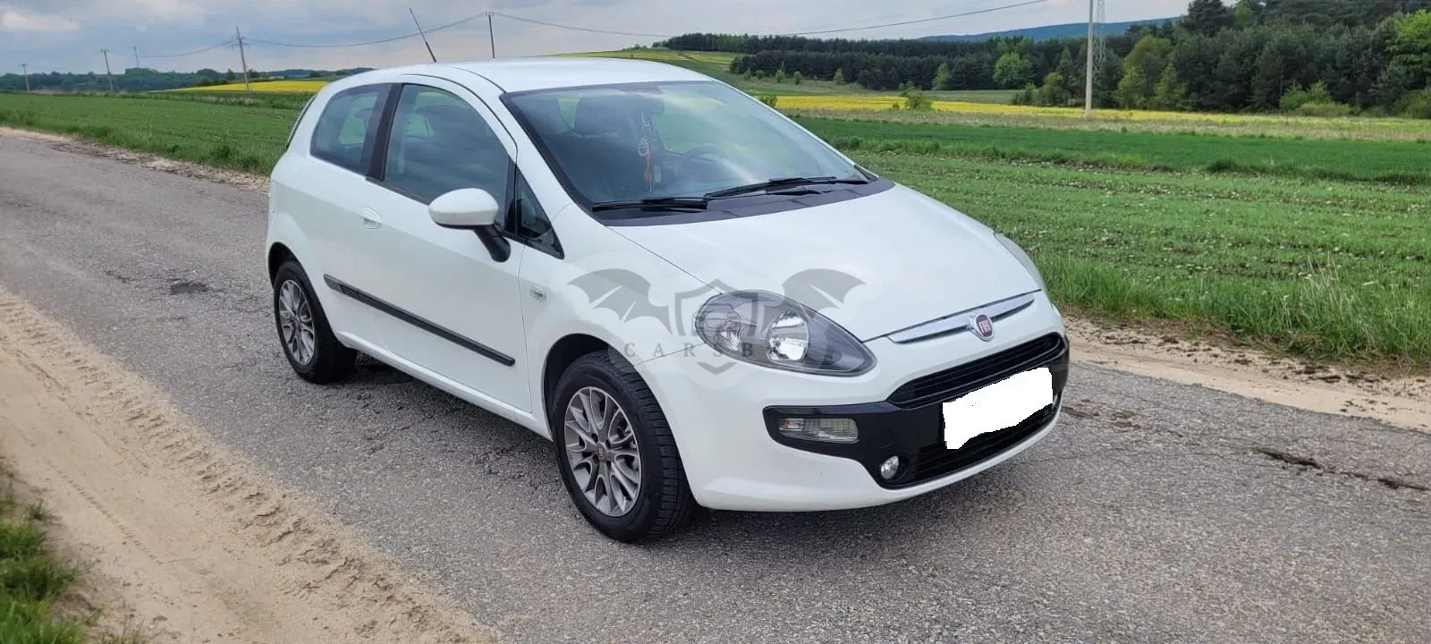 Fiat Punto 2011