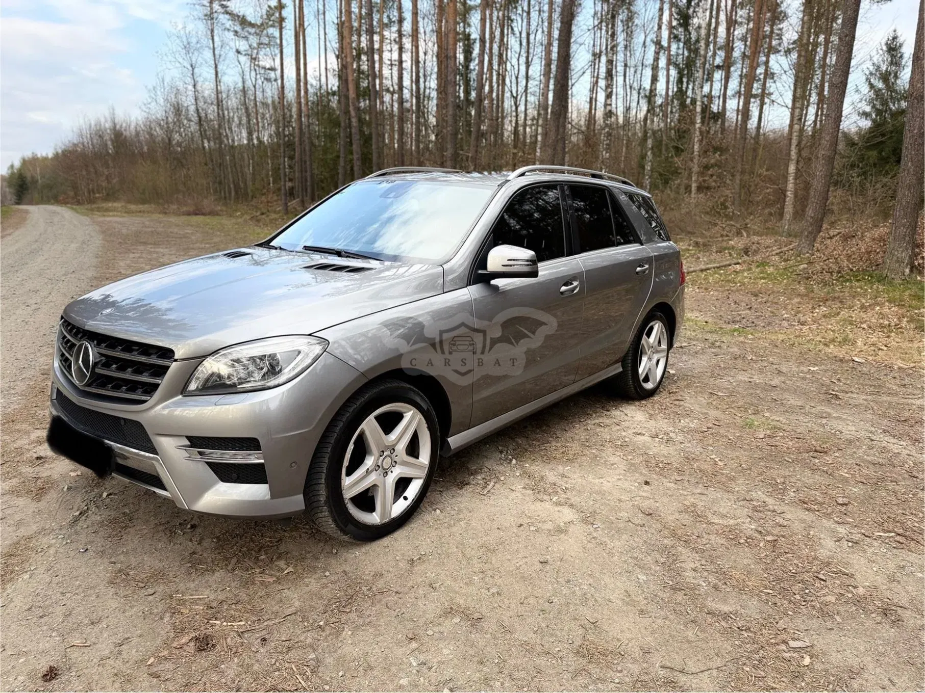 Mercedes-Benz ML W166 350 BlueTEC 4MATIC 7G-TRONIC 2012