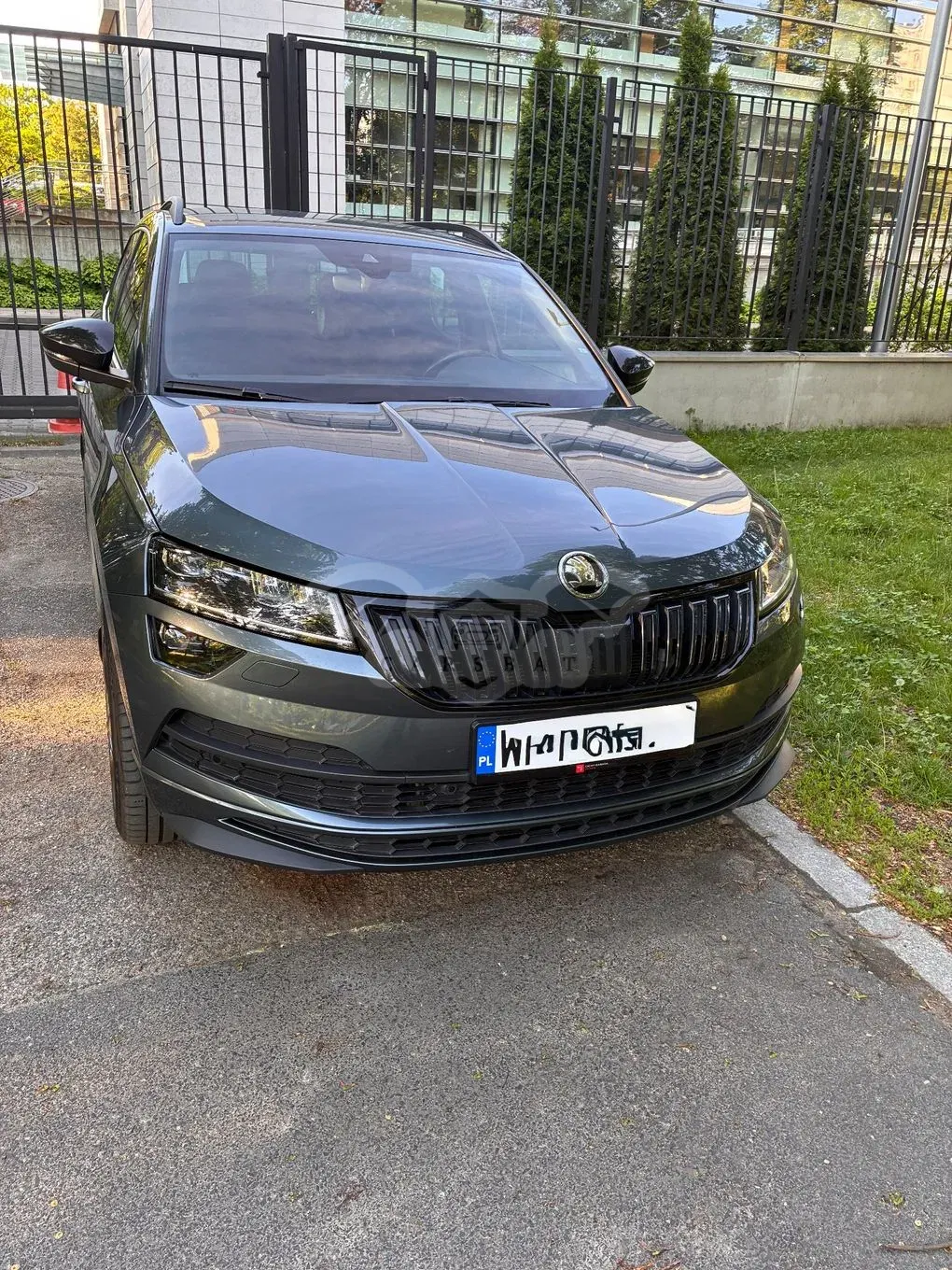 Skoda Karoq 2.0 TSI 4x4 Sportline DSG 2019