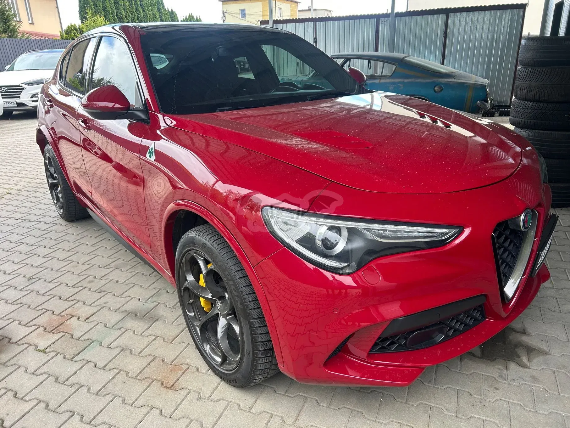 Alfa Romeo Stelvio 2.9 V6 Bi-Turbo Quadrifoglio Niring Q4 2021