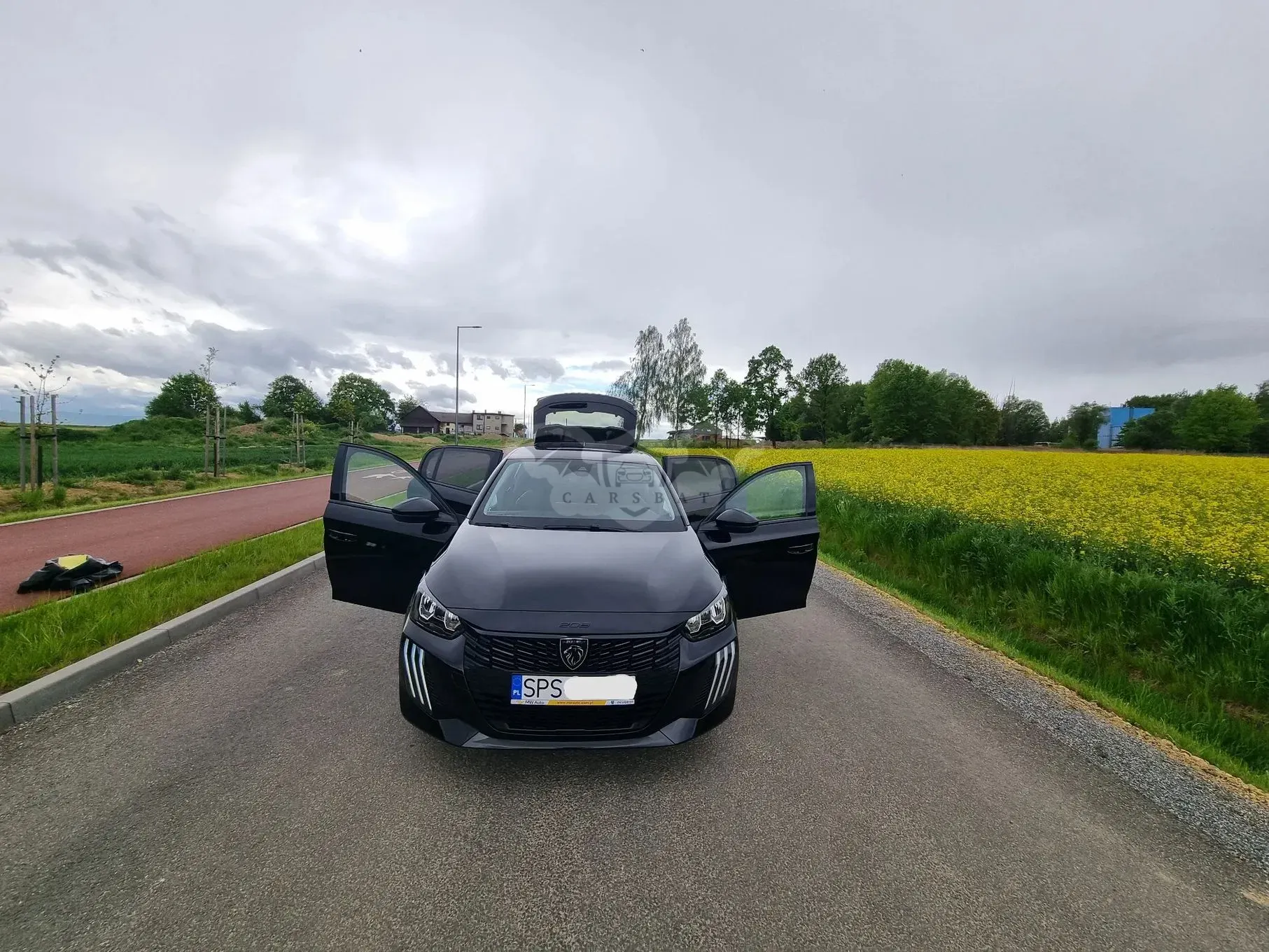 Peugeot 208 II 2024