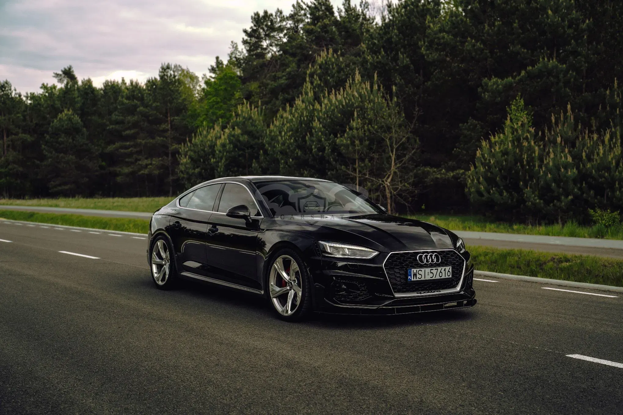 Audi RS5 2.9 TFSI quattro tiptronic 2019