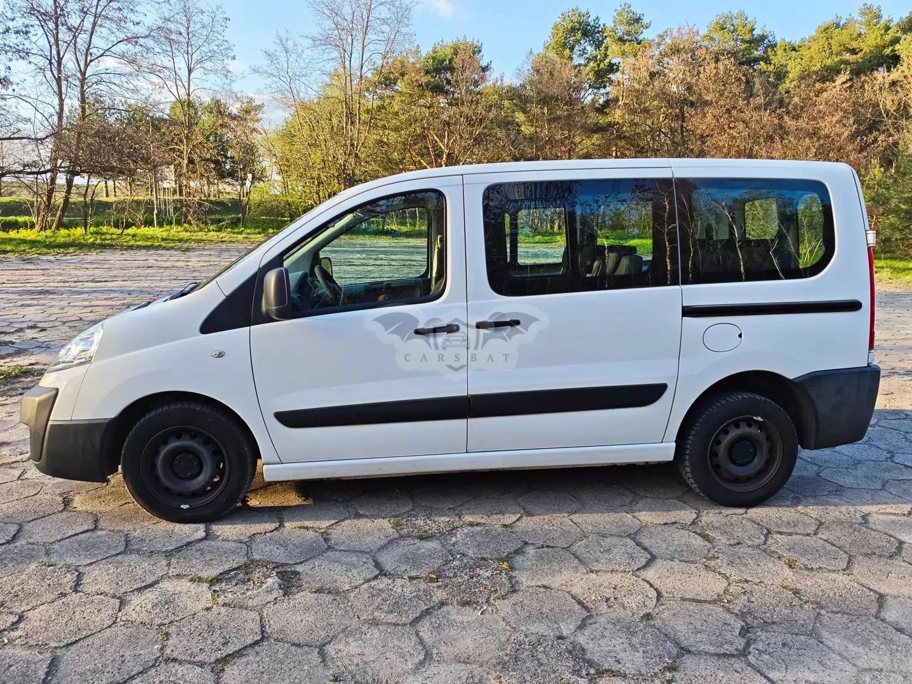 Peugeot Expert 2012
