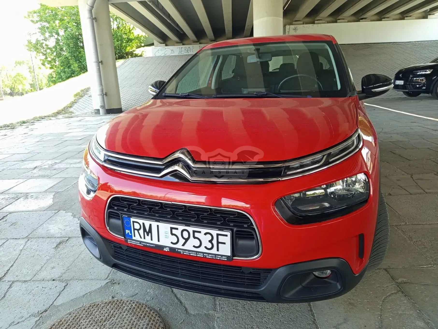Citroën C4 Cactus 2019