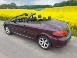 Peugeot 307 2006