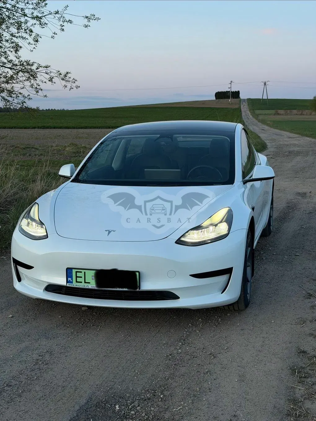 Tesla Model 3 2022