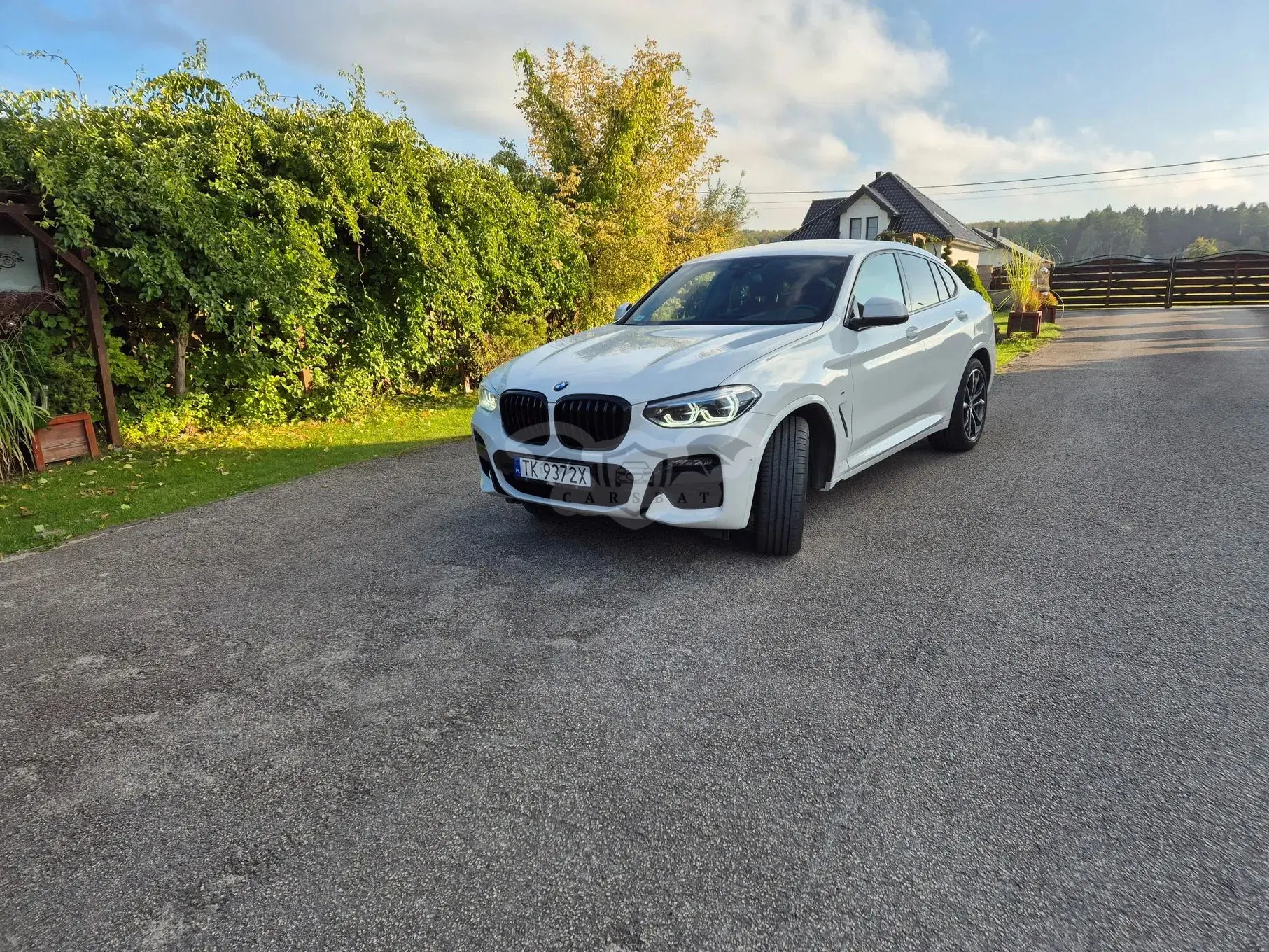 BMW X4 G02 xDrive30i M Sport sport 2020