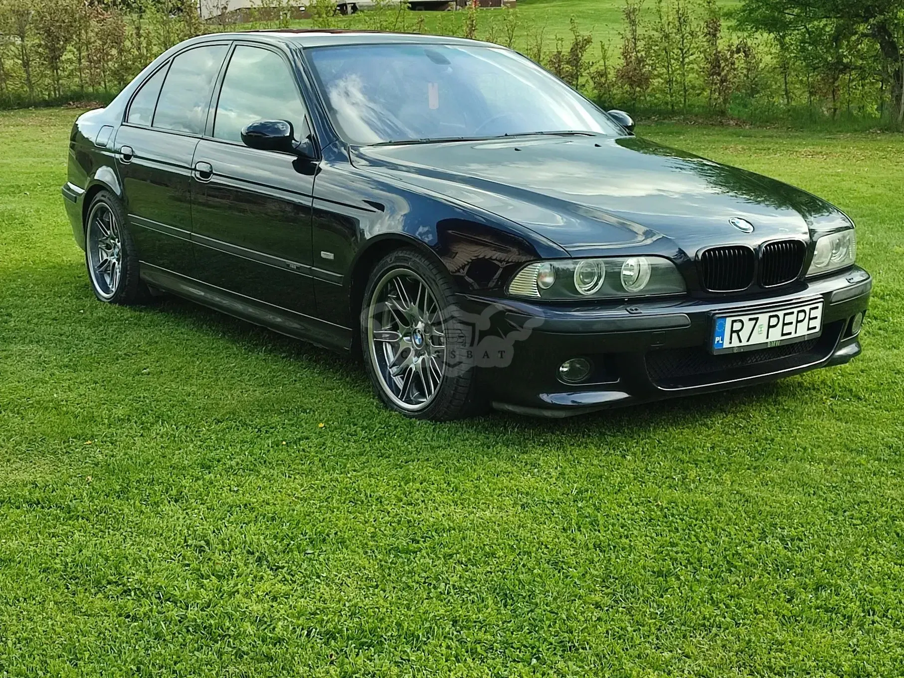 BMW M5 Standard 2000
