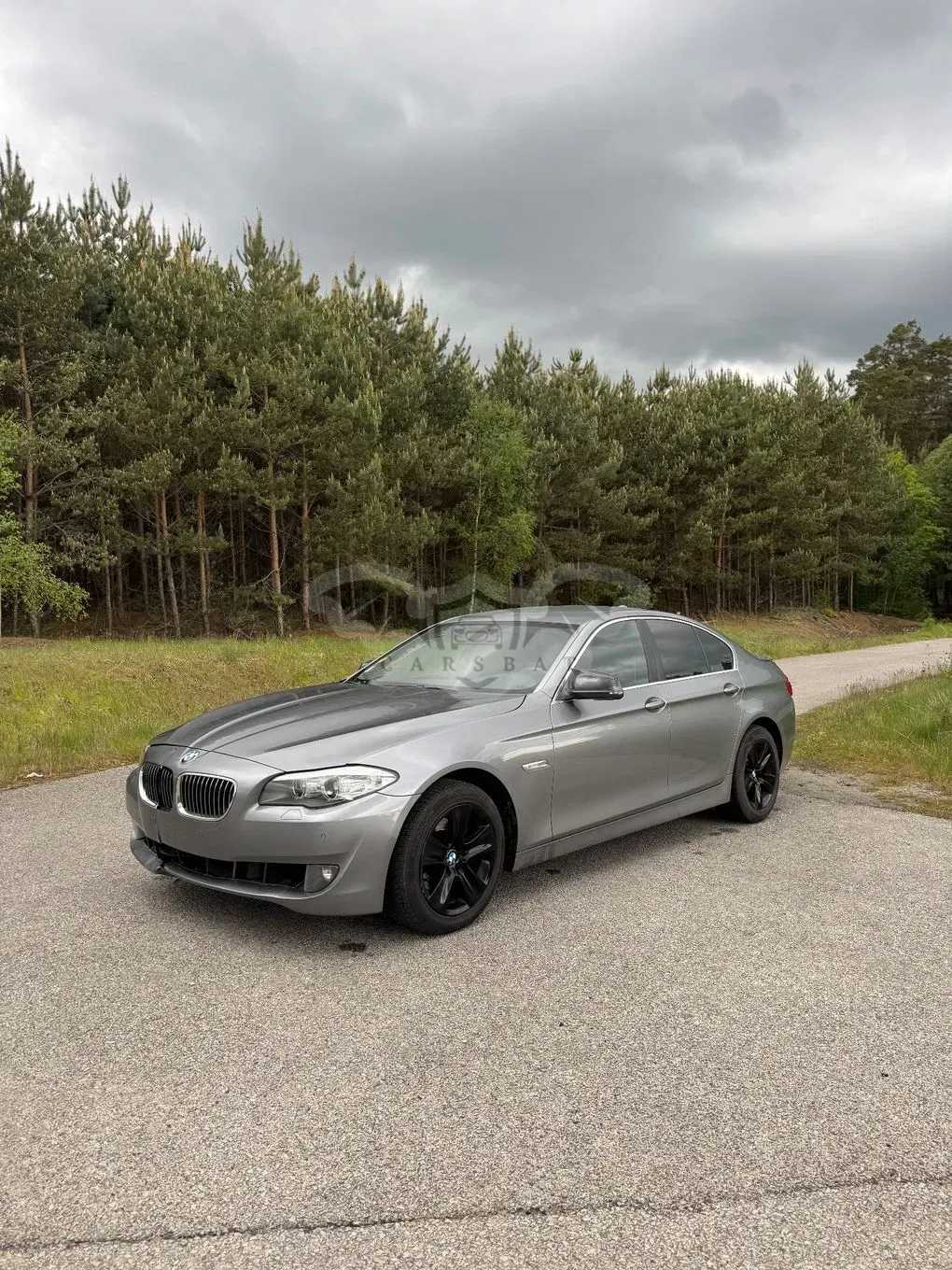 BMW 5 Series F10/F11 520d Edition Fleet 2010