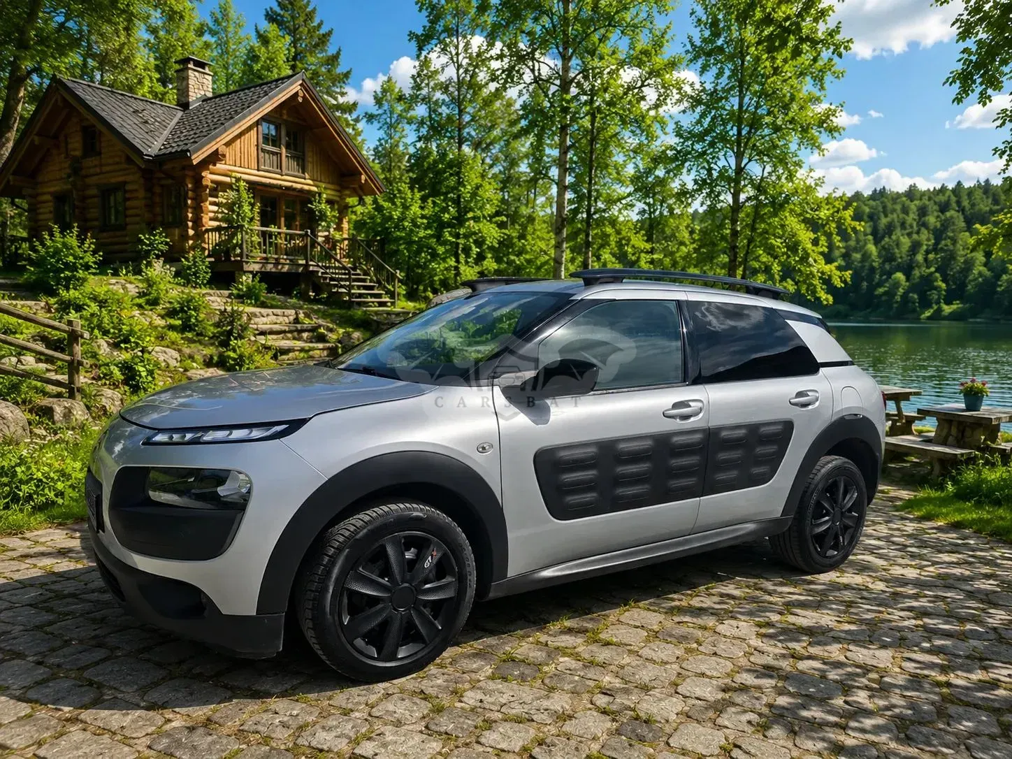 Citroën C4 Cactus 1.2 PureTech MoreLife S&S ETG 2016