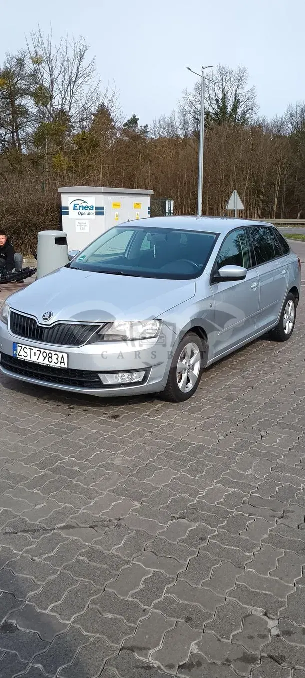 Skoda Rapid 1.6 TDI DPF Ambition Max 2013