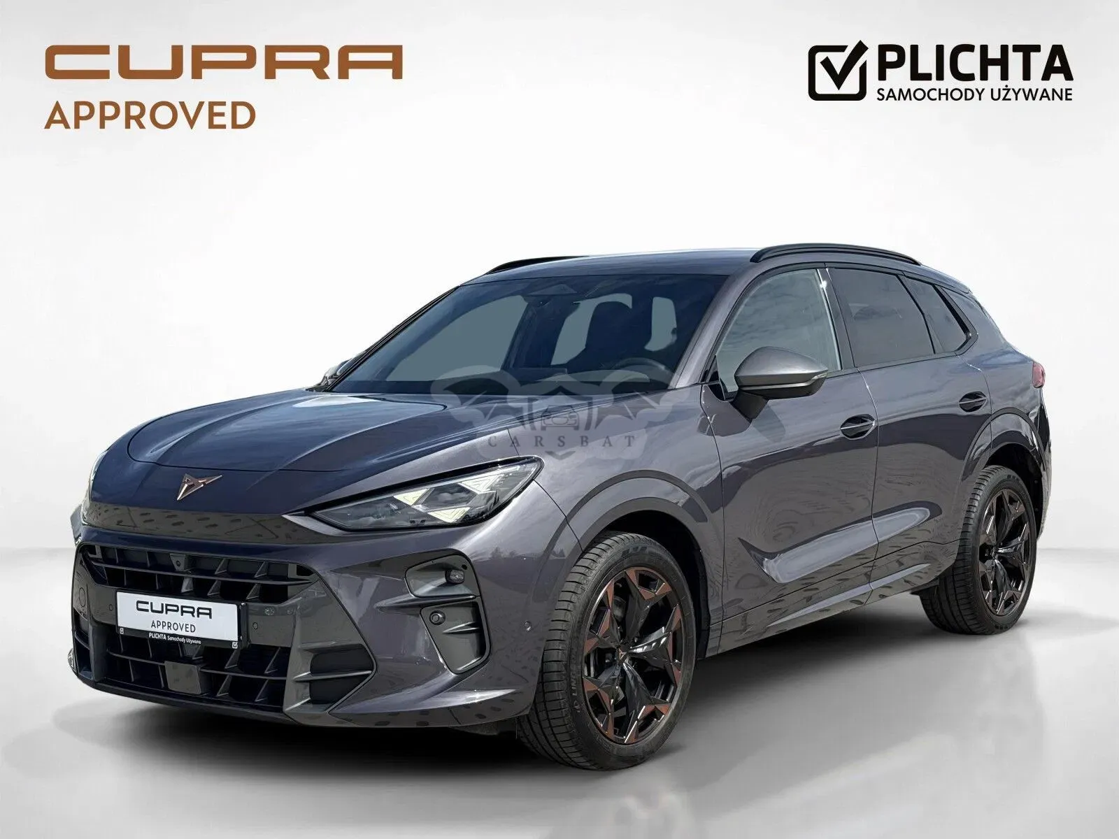 Cupra Terramar 2.0 TSI 4Drive DSG 2025