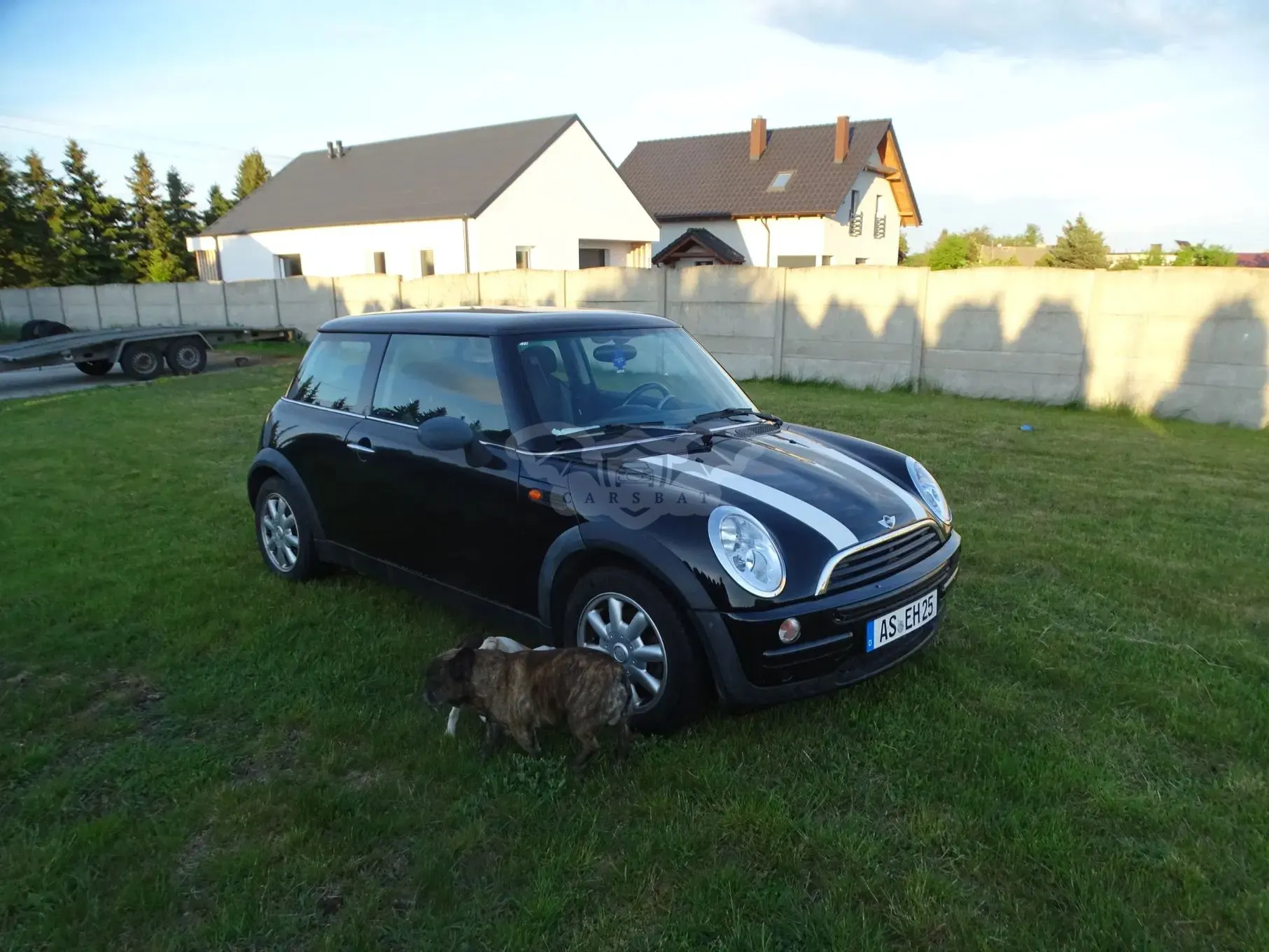 Mini One Park Lane 2002