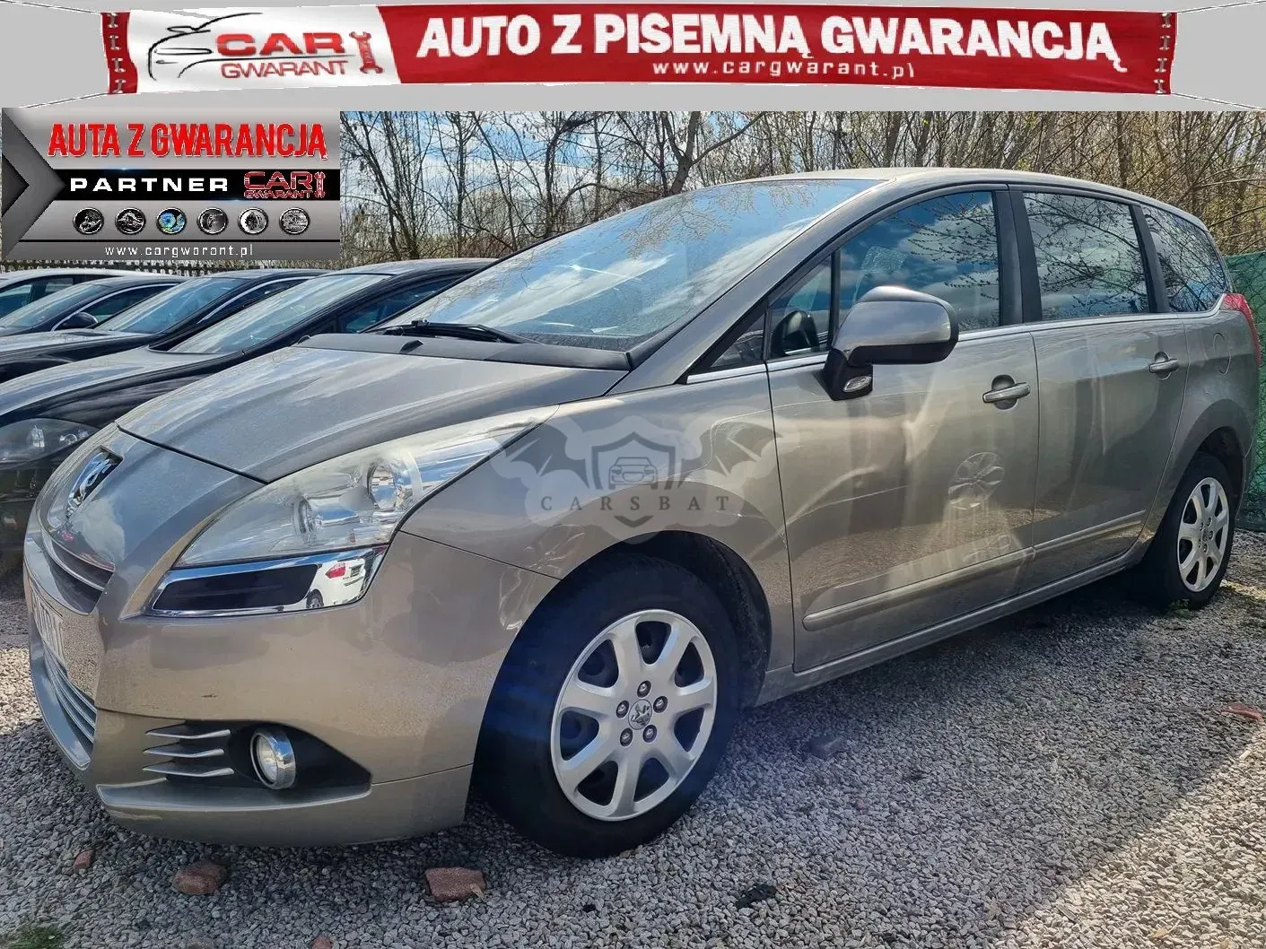 Peugeot 5008 I HDI FAP 110 Premium 2010