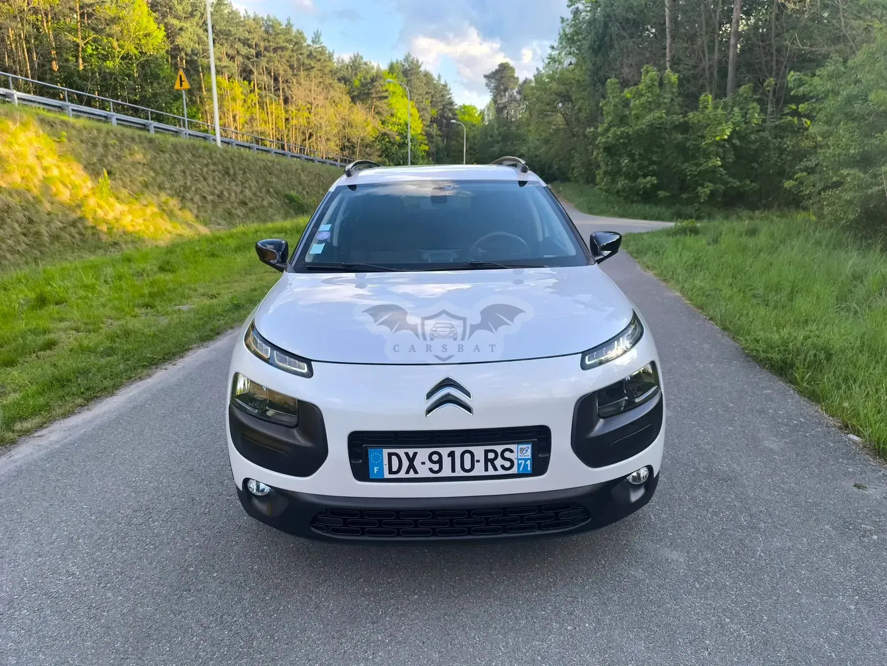 Citroën C4 Cactus Pure Tech 110 Stop&Start Feel 2015