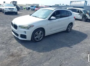 BMW X1 F48 xDrive25i M Sport sport 2017