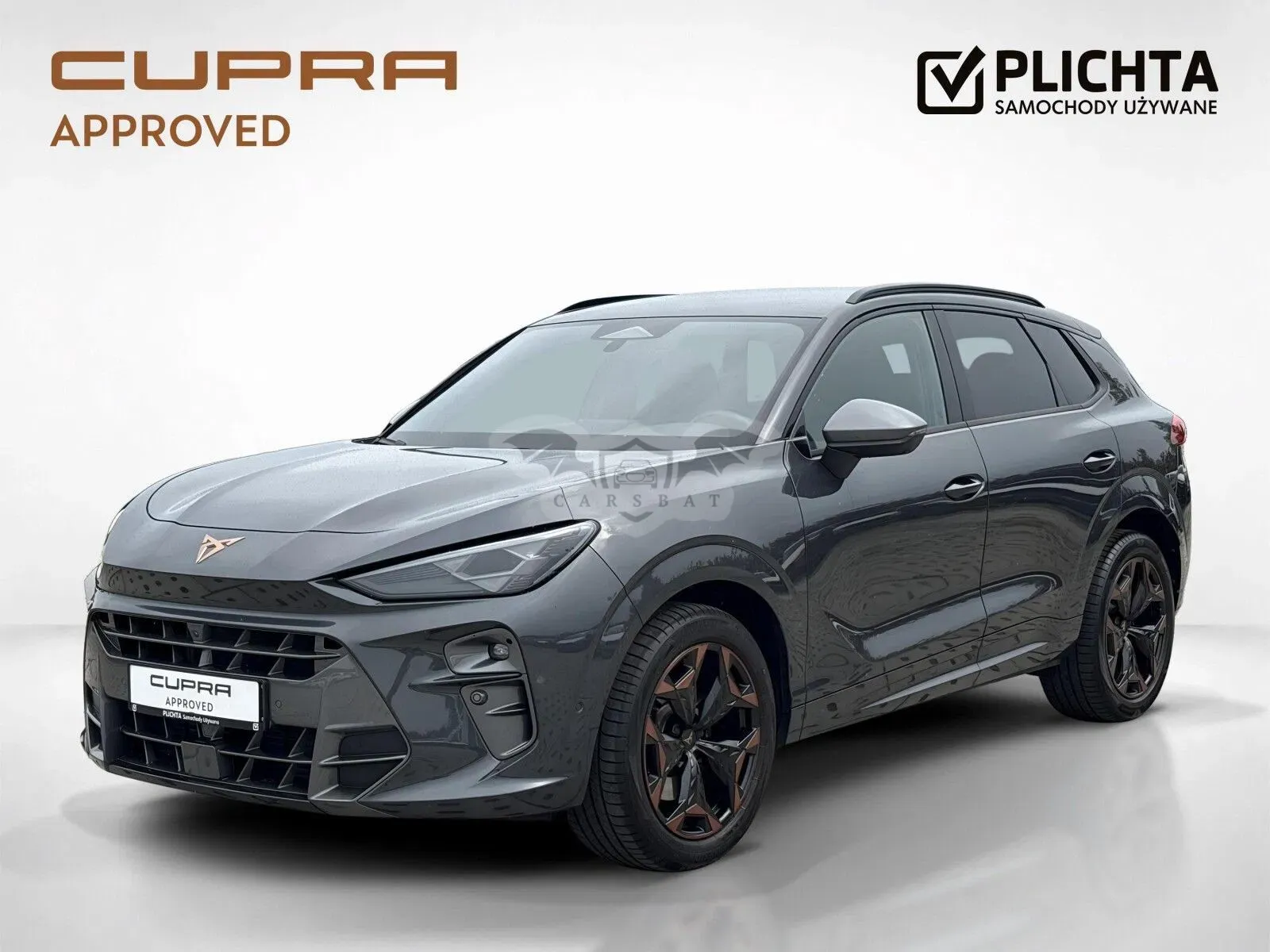 Cupra Terramar 2.0 TSI 4Drive DSG 2025