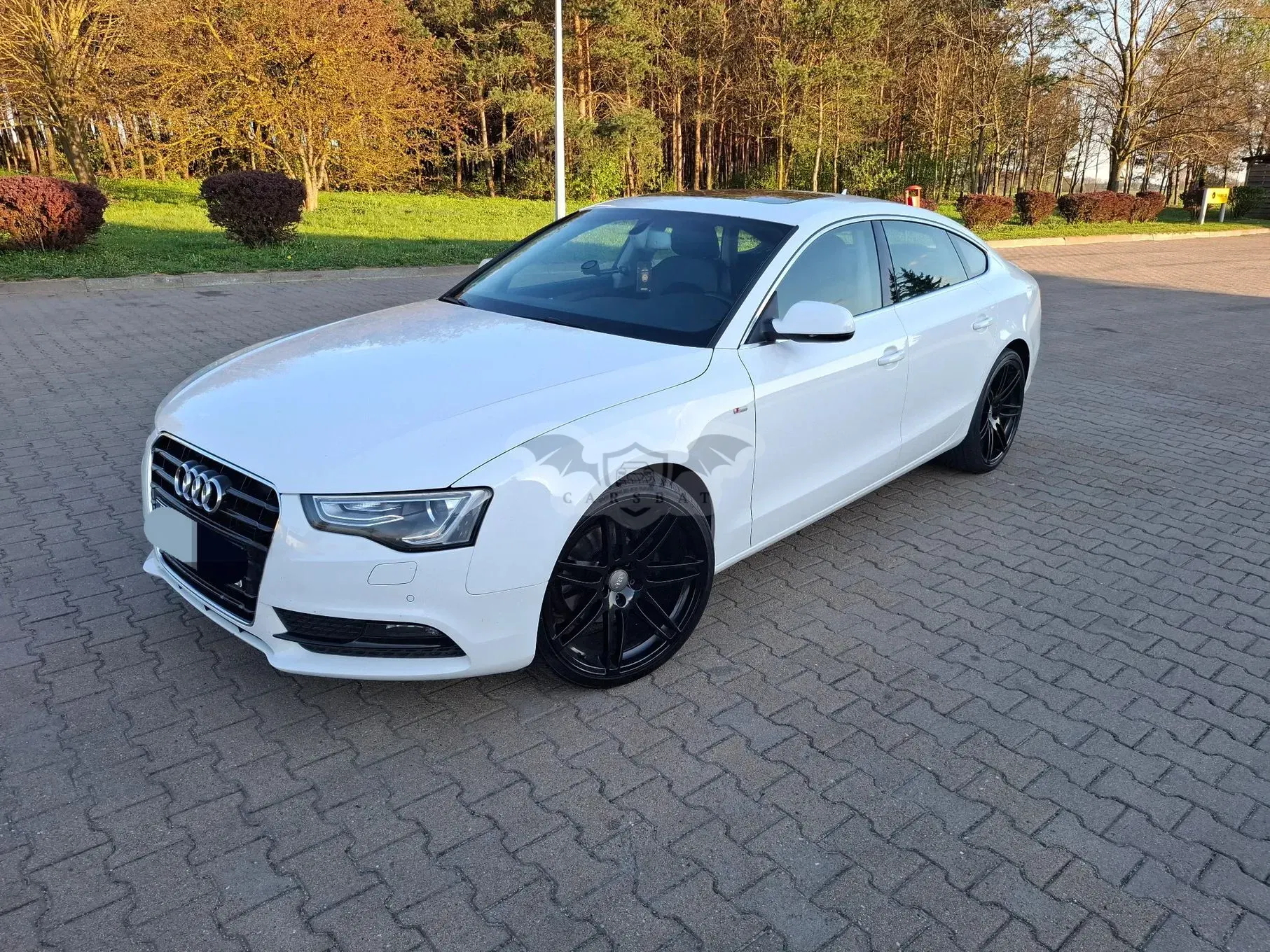 Audi A5 8T 2.0 TDI DPF 2012