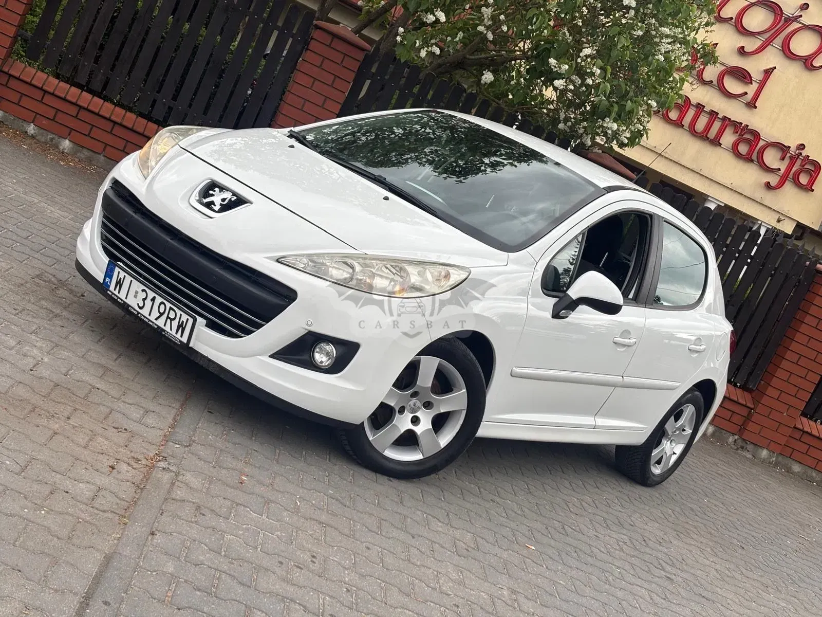Peugeot 207 120 Premium 2010