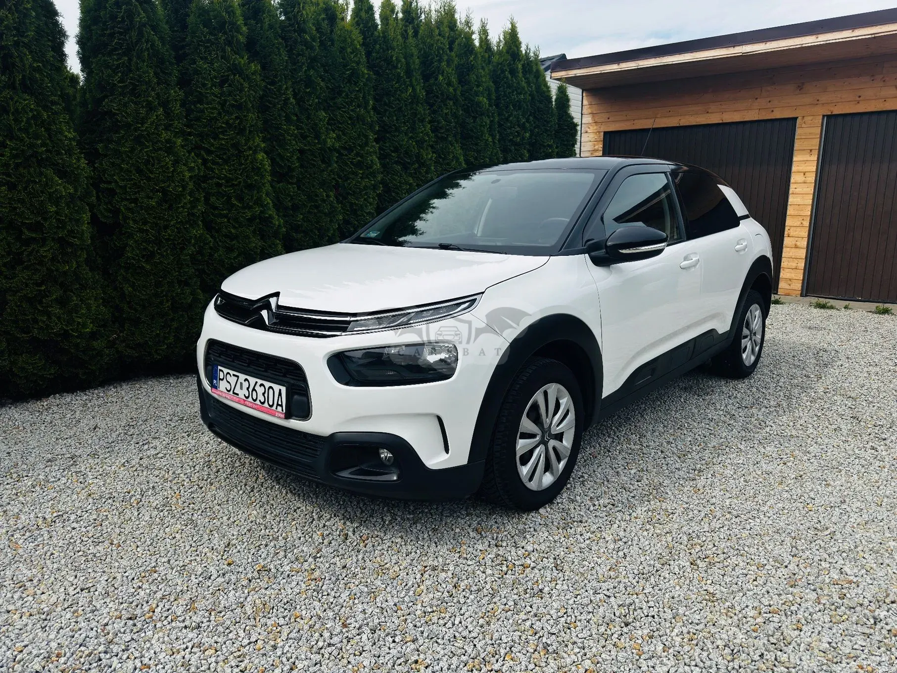 Citroën C4 Cactus BlueHDi 100 Stop&Start Feel 2019