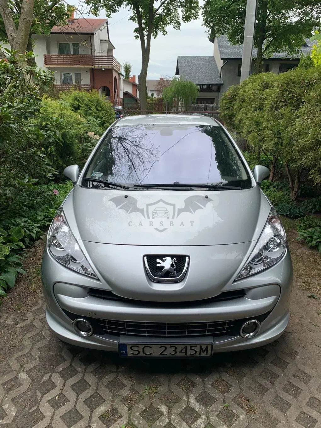 Peugeot 207 150 Turbo Platinum 2009