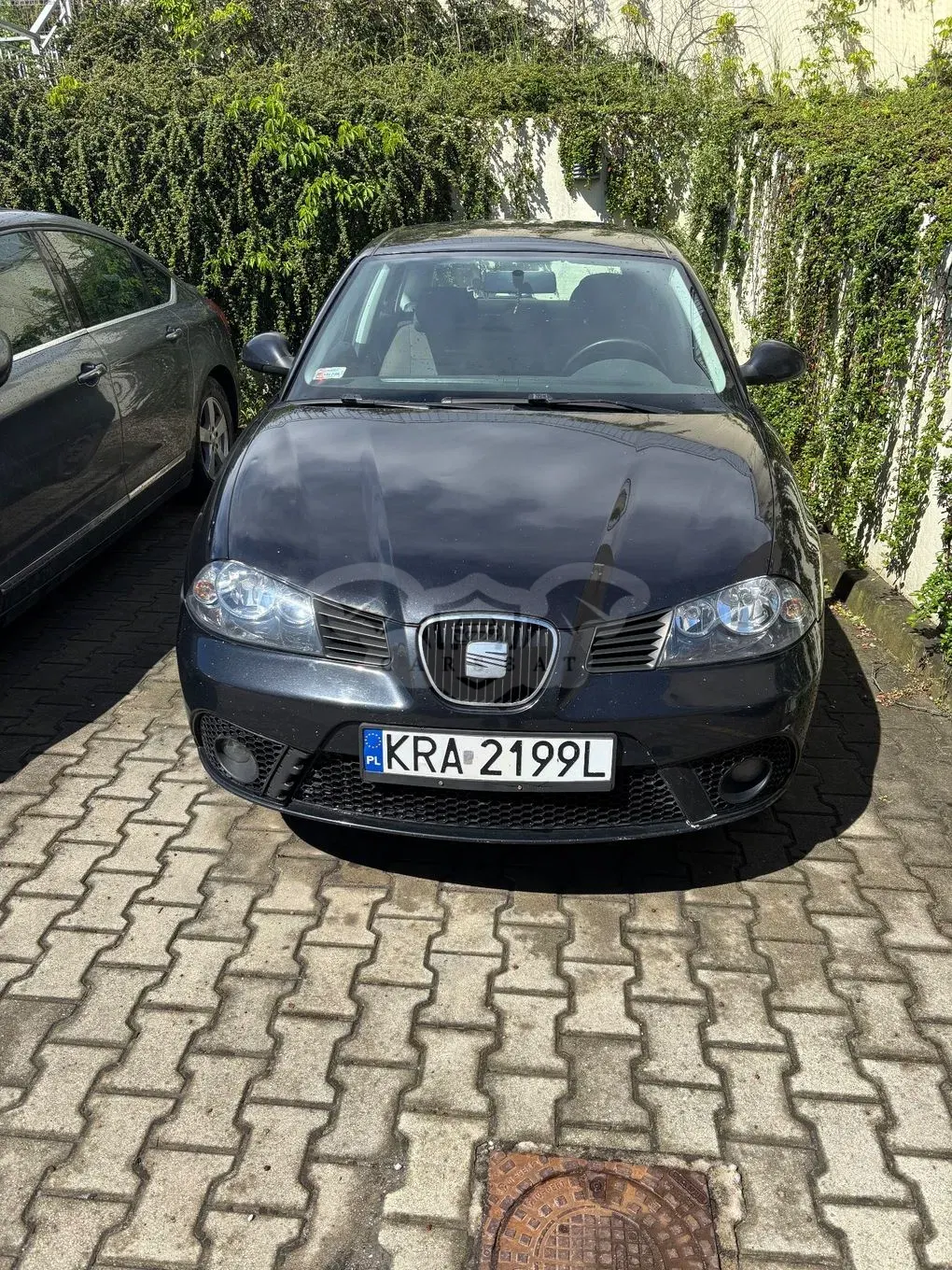 Seat Ibiza III ver-1-9-tdi-fr 2006