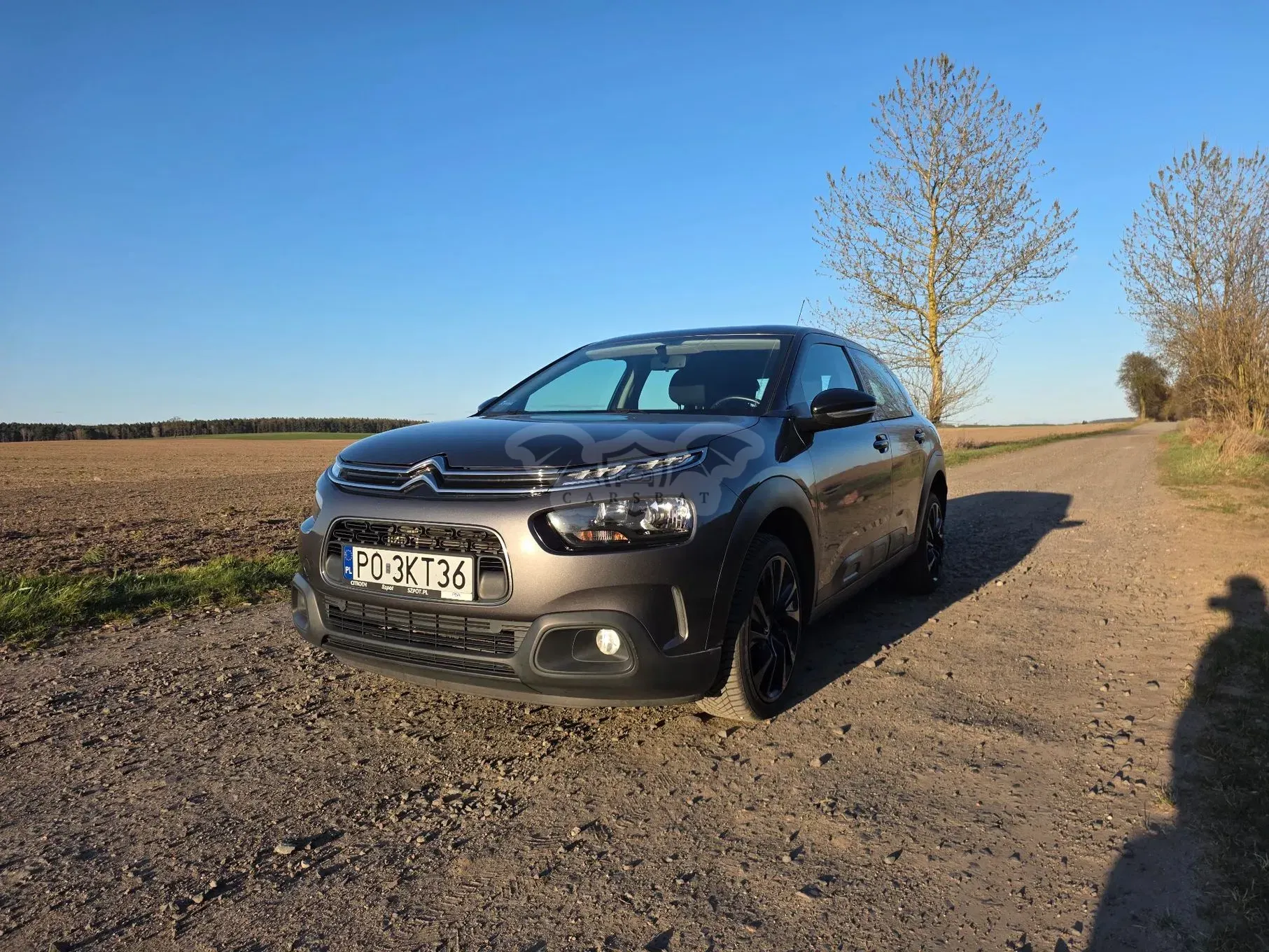 Citroën C4 Cactus 2019