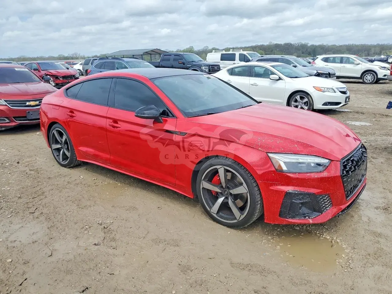 Audi A5 F5 45 TFSI quattro S tronic S line 2022