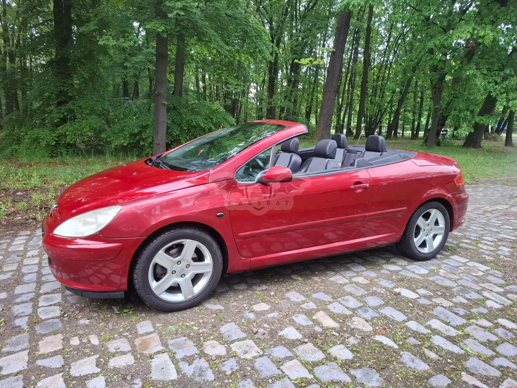 Peugeot 307 135 Tendance 2004