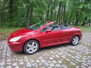 Peugeot 307 135 Tendance 2004