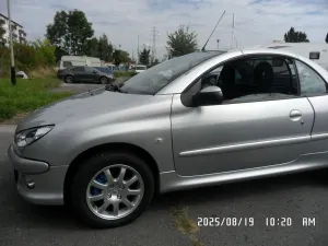 Peugeot 206 ver-1-6-euro3 2005