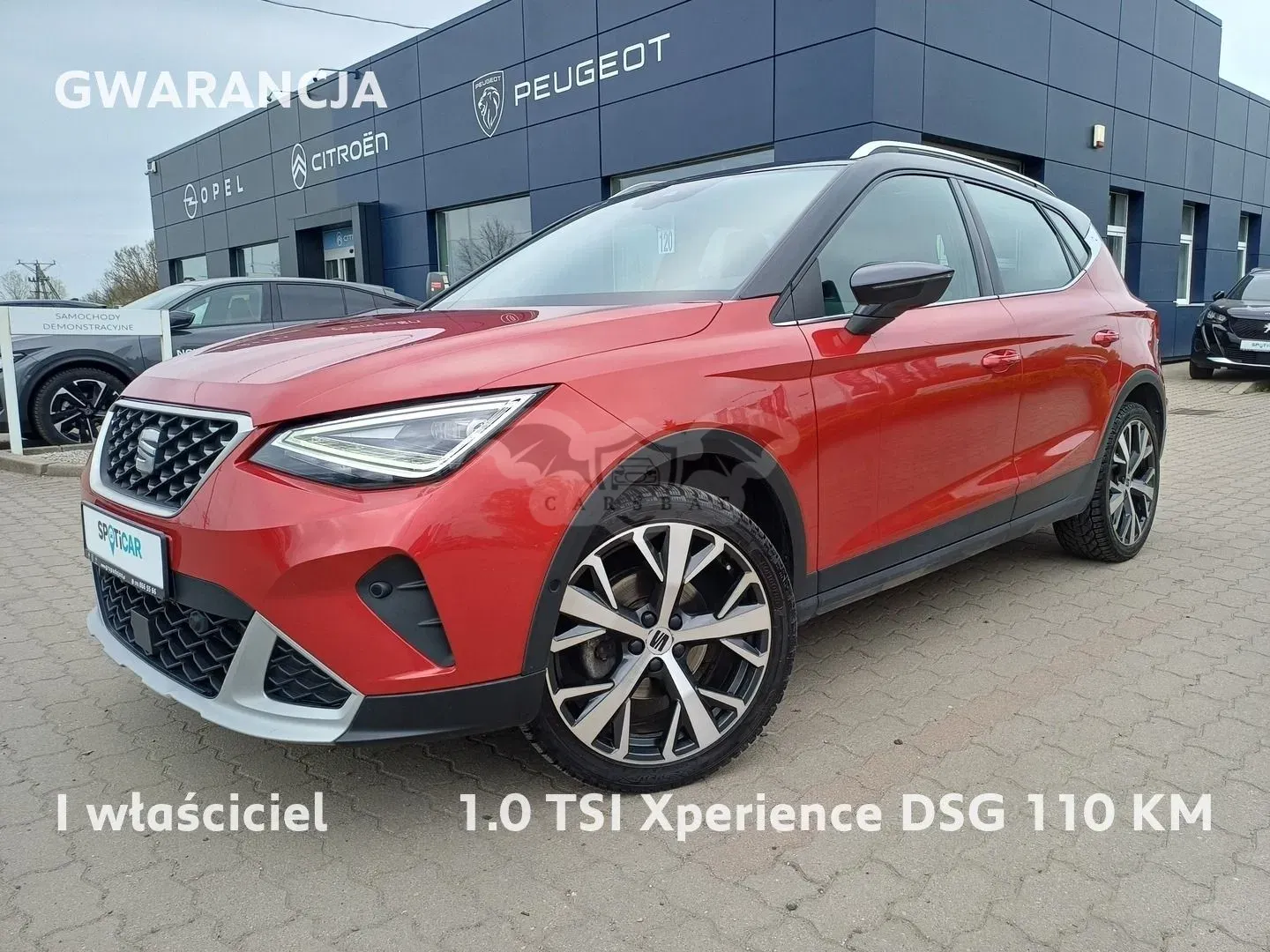 Seat Arona 1.0 TSI Xperience S&S DSG 2022
